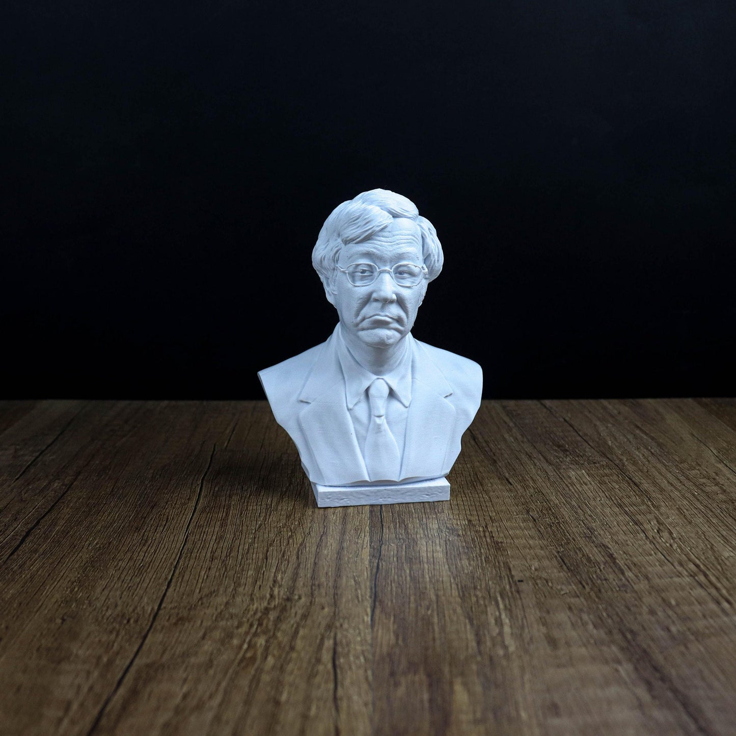 Satoshi Nakamoto 3d printed Bust