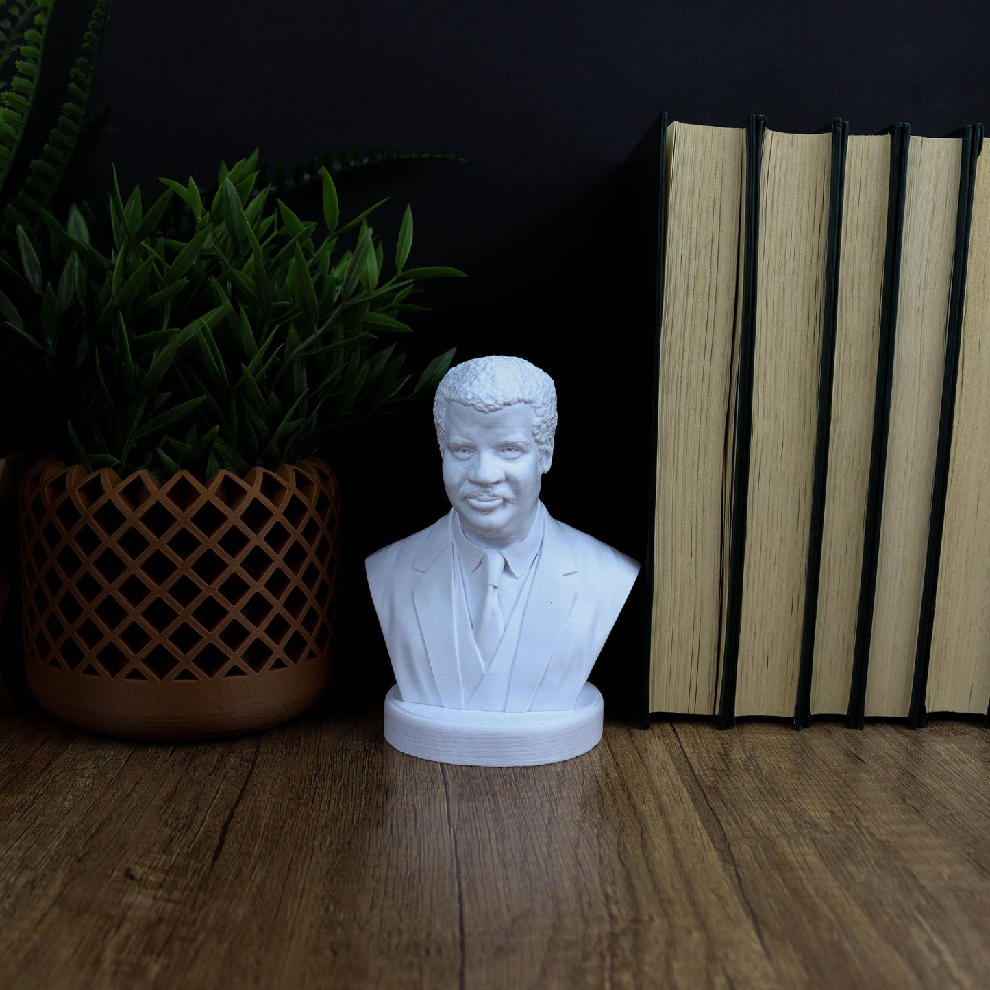 Neil deGrasse Tyson Bust