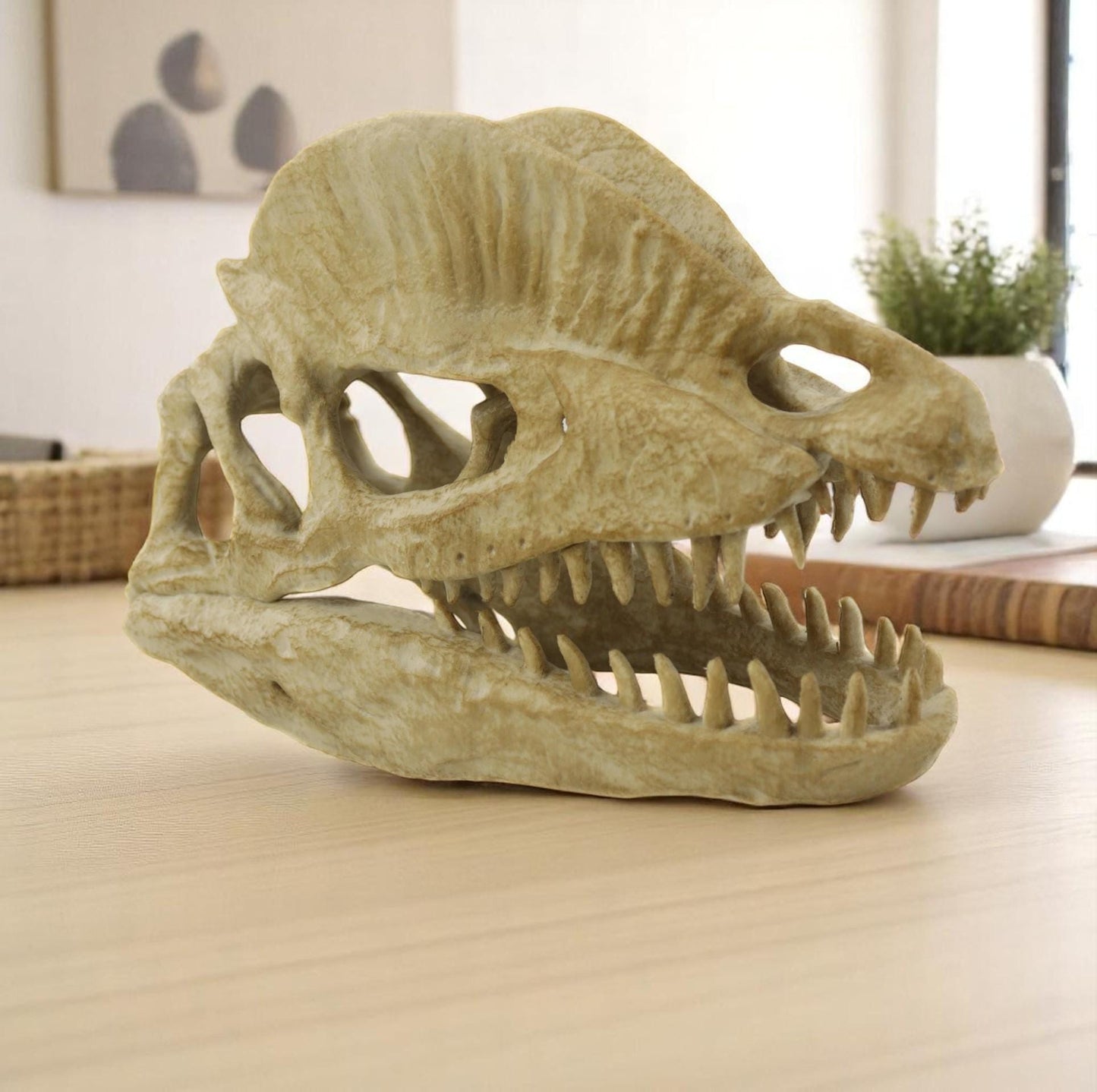 Dilophosaurus Aged Skull, Dinosaur Realistic Skull Replica, Prehistoric Dinosaur Fossil Decor, Jurassic Collectible Gift