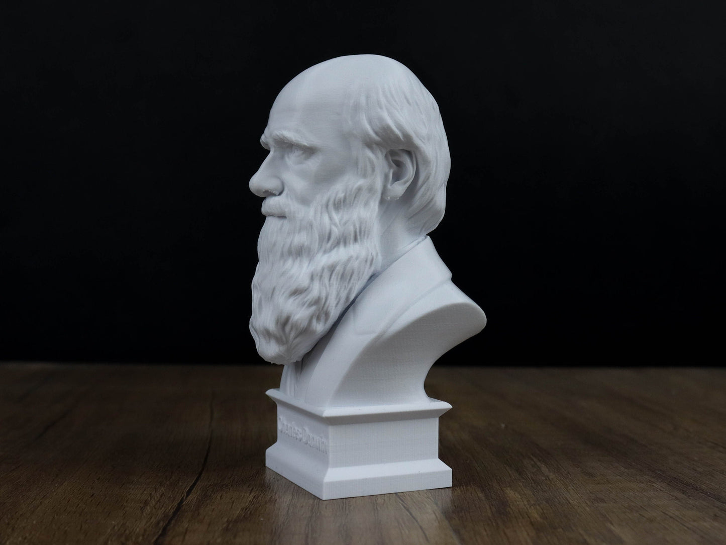 Charles Darwin Bust Sculpture