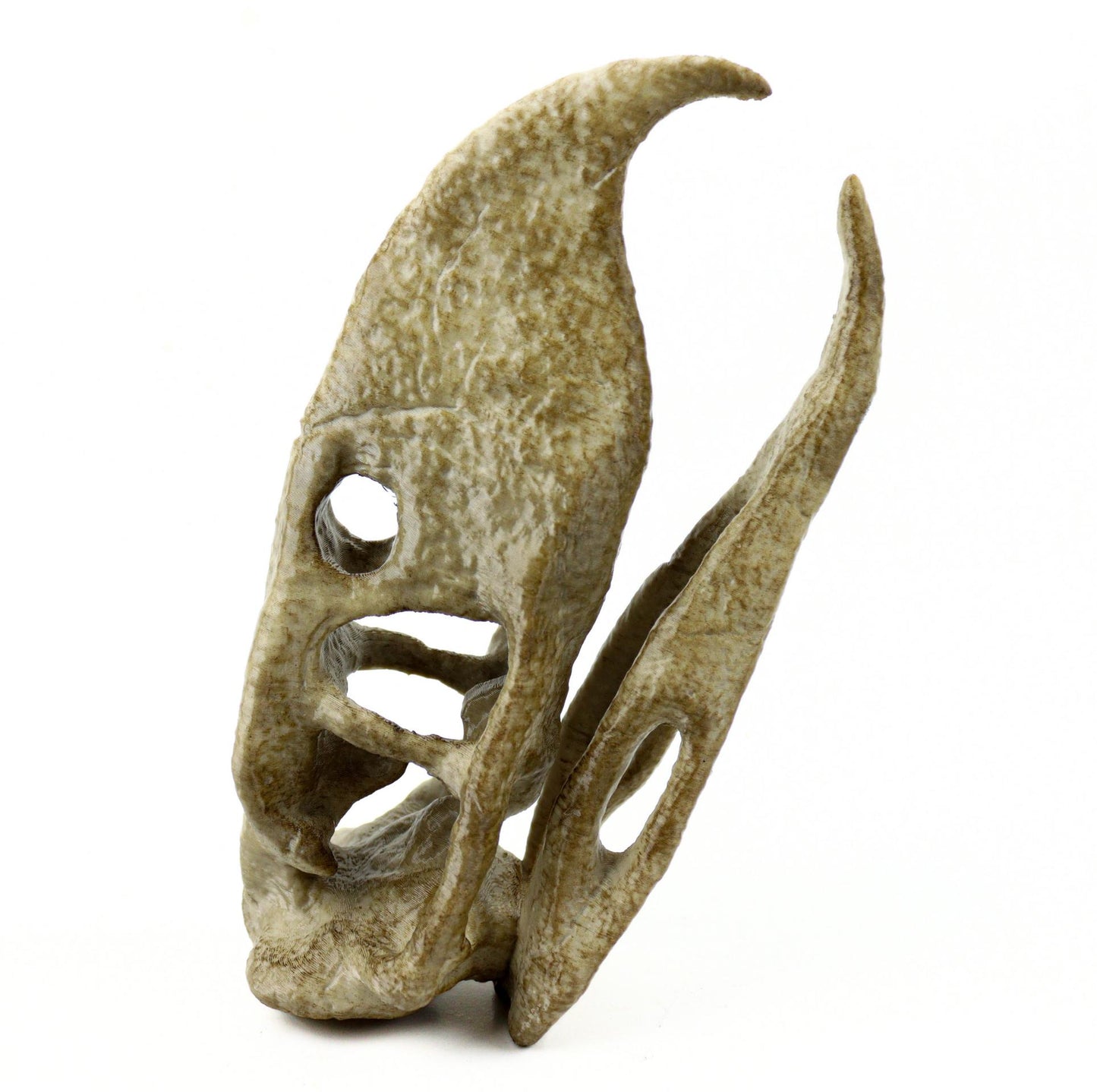 Phorusrhacos Skull Replica, Prehistoric Terror Bird Fossil Decor