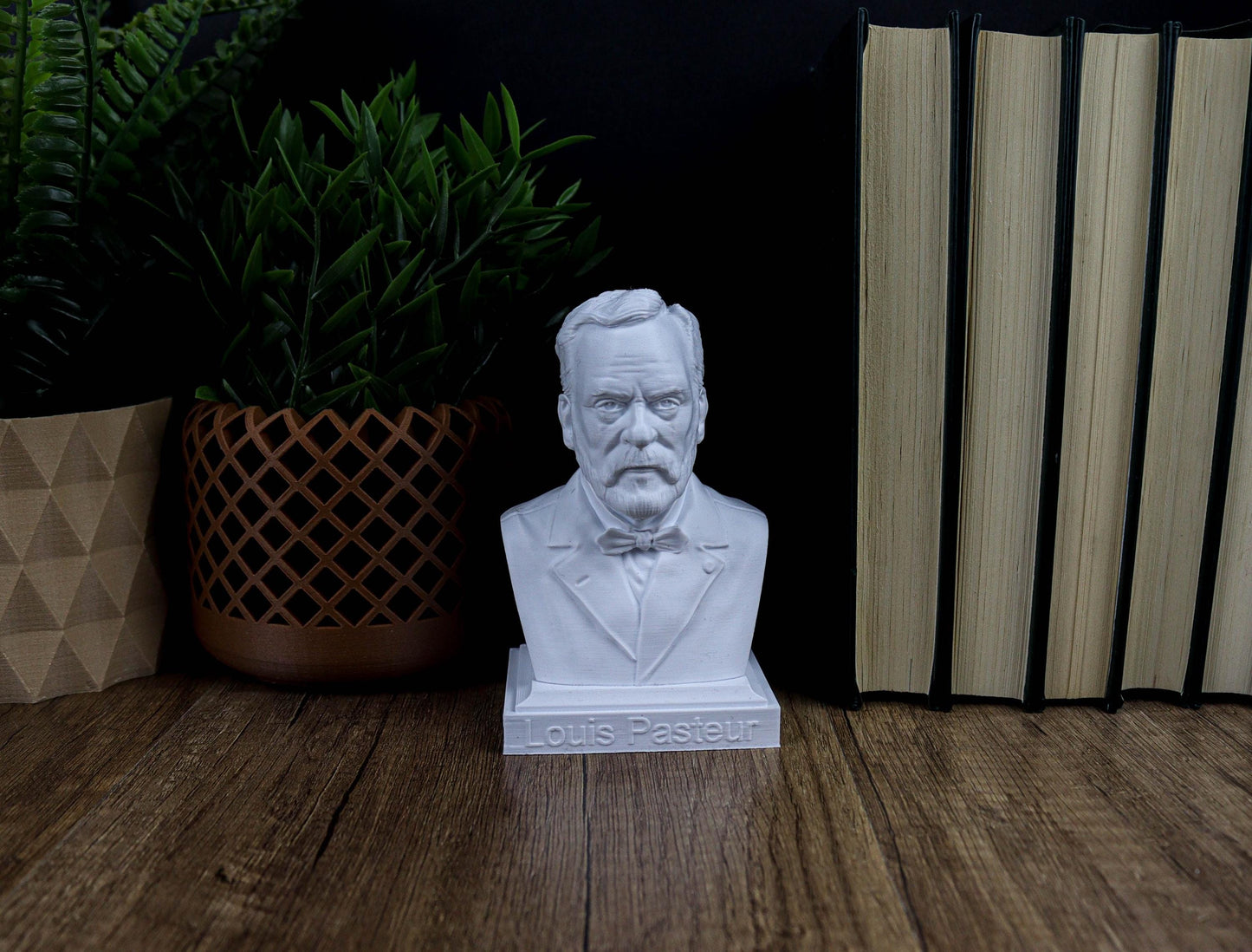 Louis Pasteur Bust, Scientist Statue for Bookshelf Decor, Microbiology Pioneer Gift, Home Decoration for Science Lovers