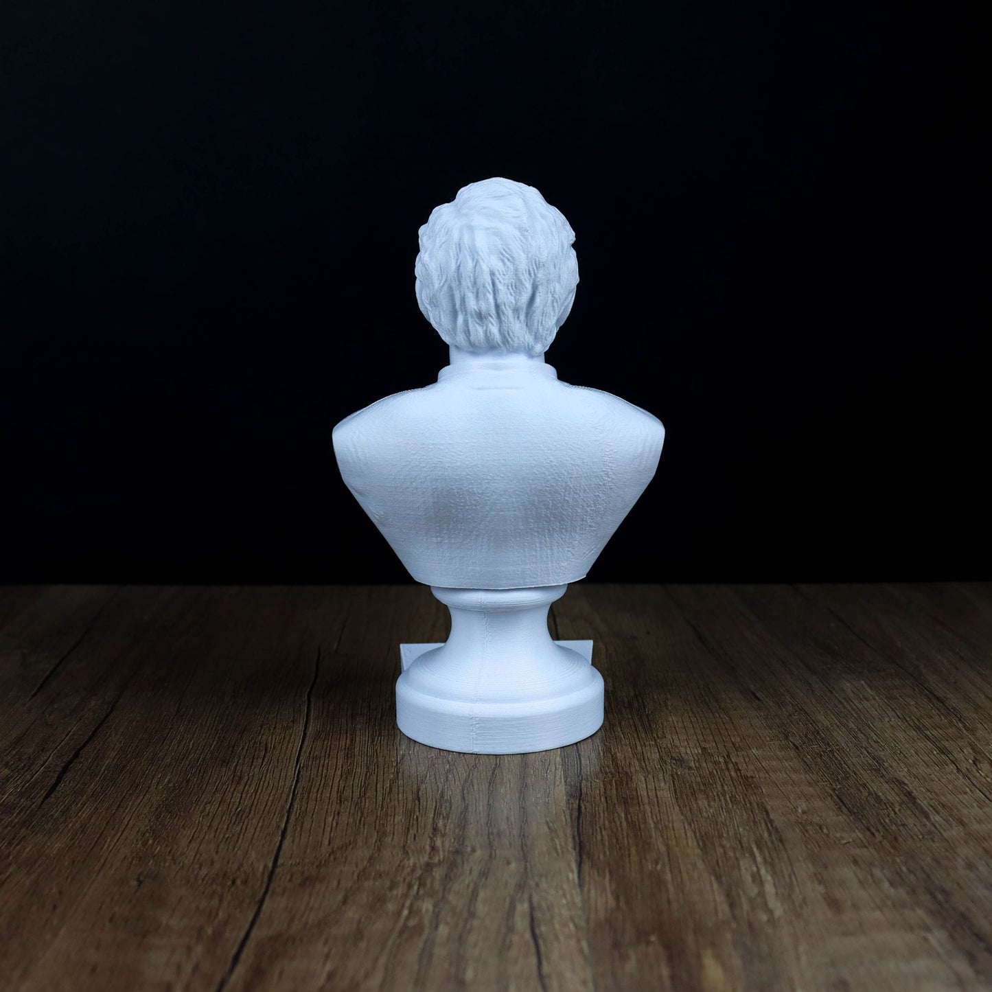 Noam Chomsky Bust, Linguistics Genius Statue, Gift for Intellectuals