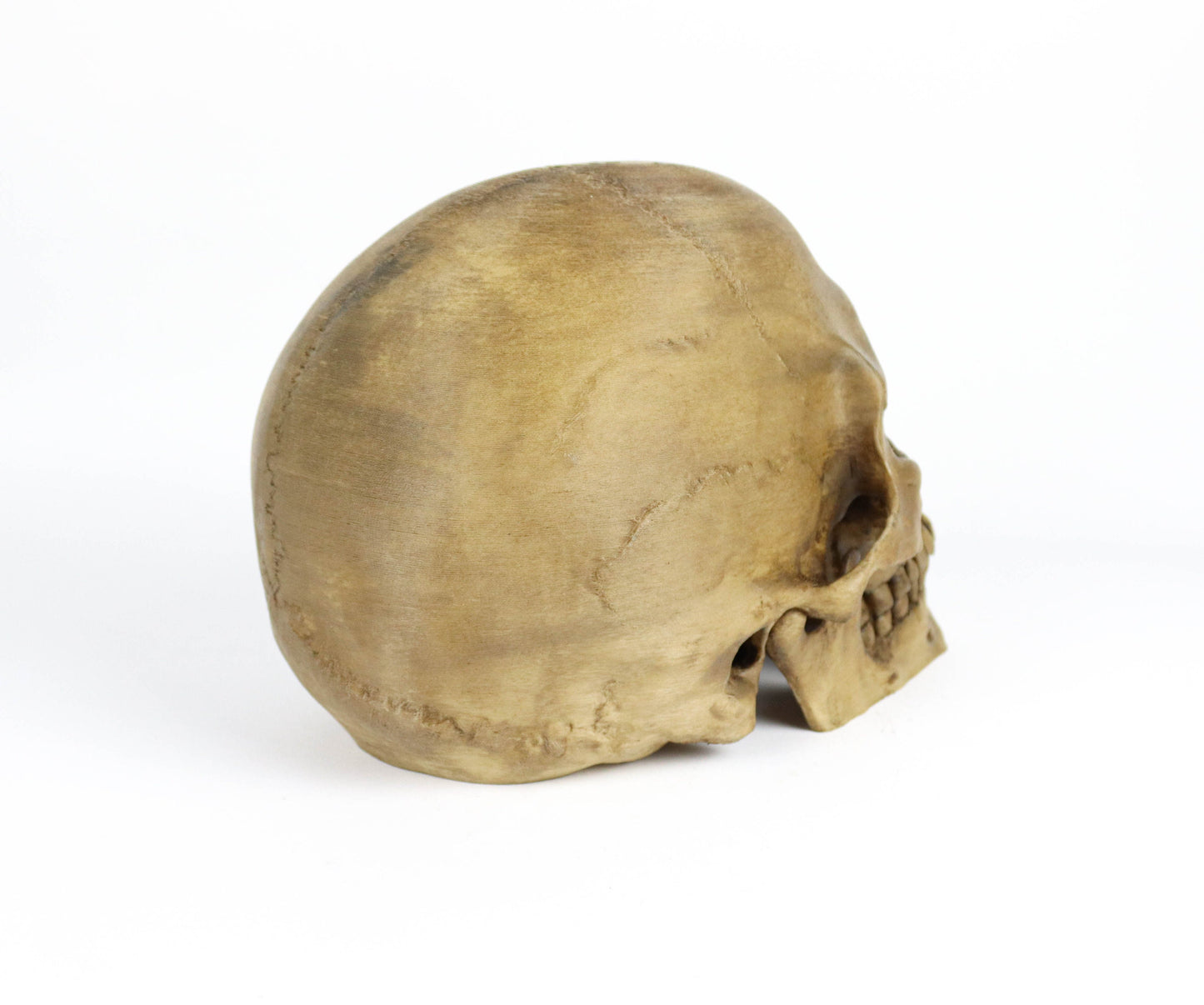 Aged Human Skull Headphone Holder, Skull Horror Decor Headphone stand