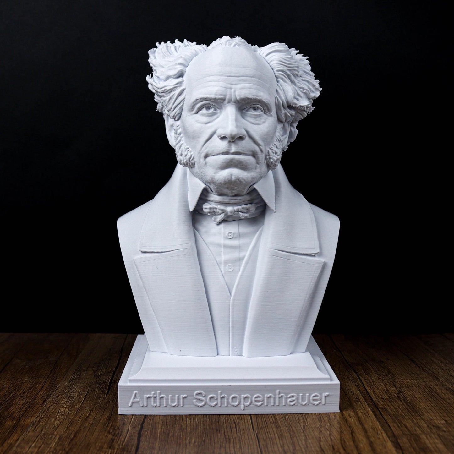 Arthur Schopenhauer Bust, German philosopher Statue, Sculpture Decoration ,Decor