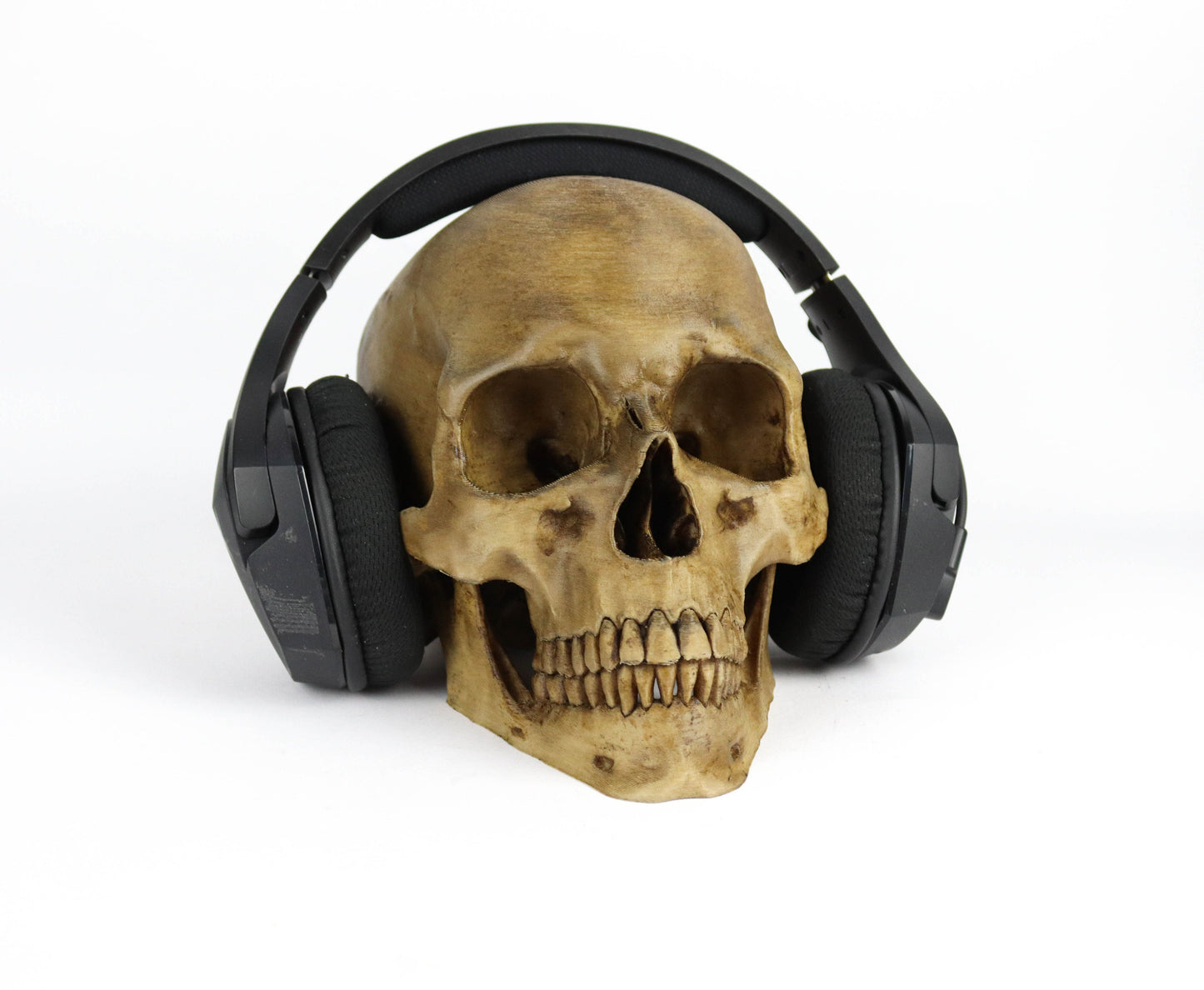 Aged Human Skull Headphone Holder, Skull Horror Decor Headphone stand