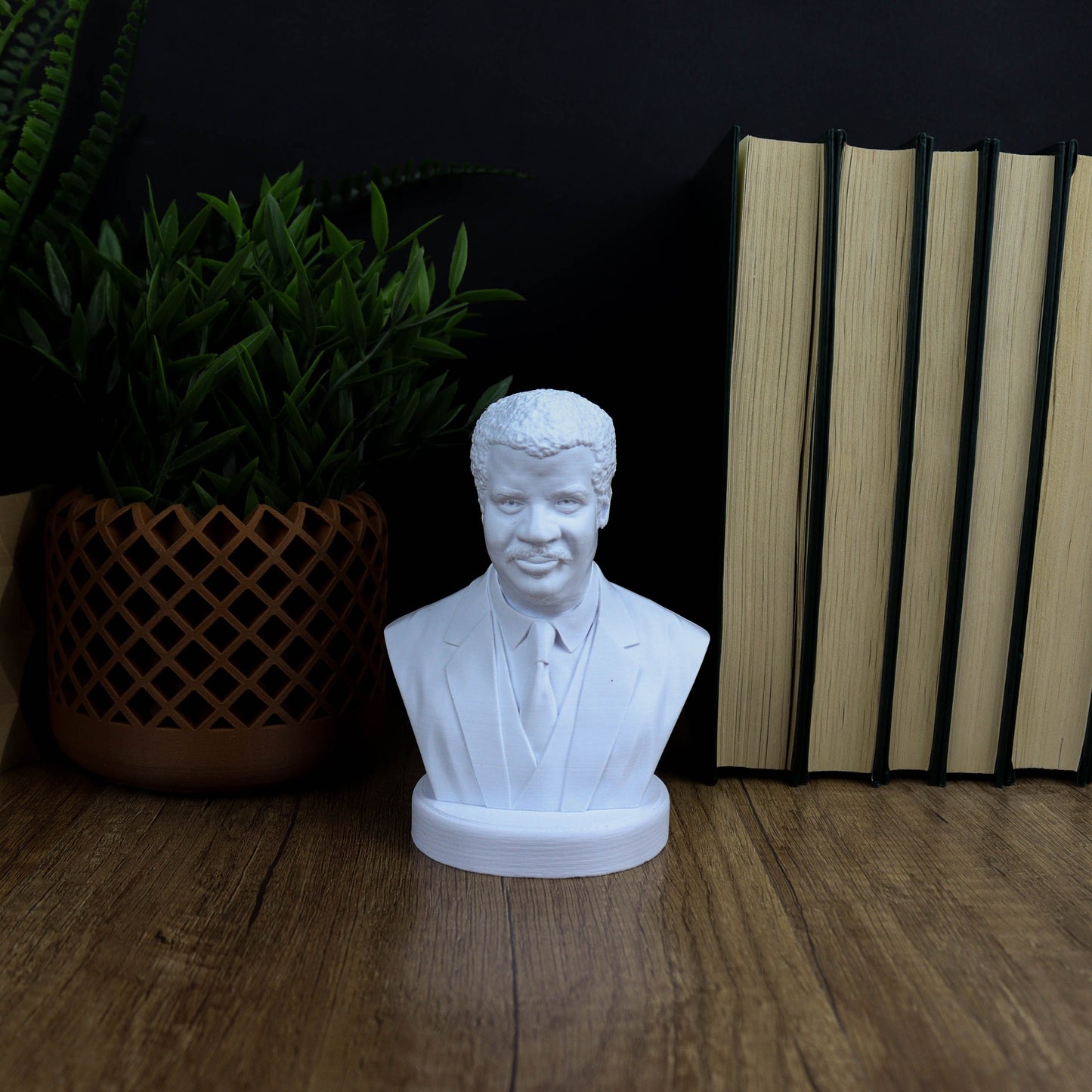 Neil deGrasse Tyson Bust
