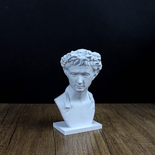 Augustus 3D Printed Bust, Roman Emperor Home Decor