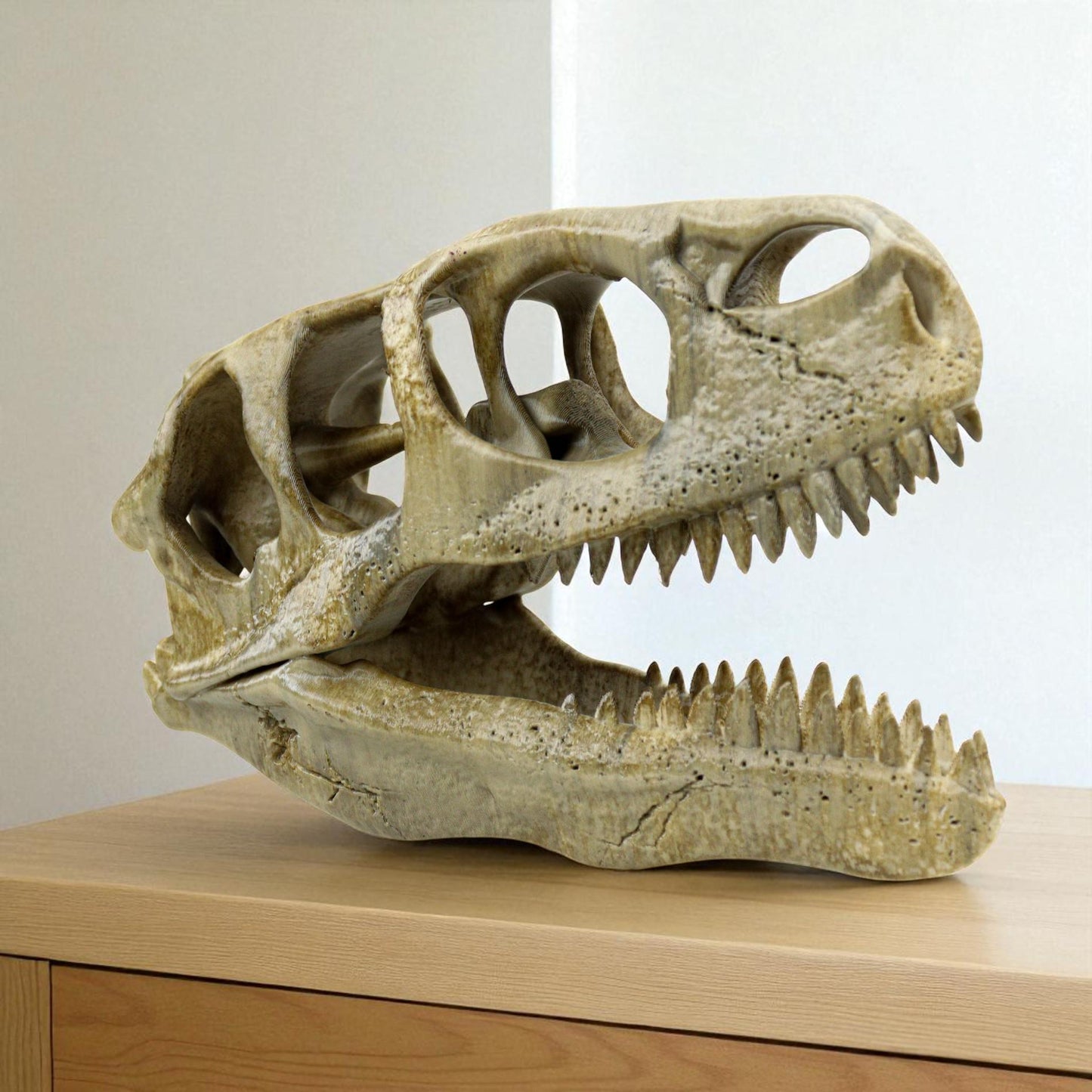 Utahraptor Skull, Dinosaur Fossil Seplica, Prehistoric decor, Gift for dinosaur lovers
