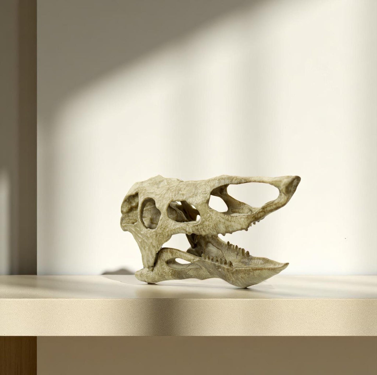 Desmatosuchus Aged Skull Replica, Triassic Fossil Display for Home or Office