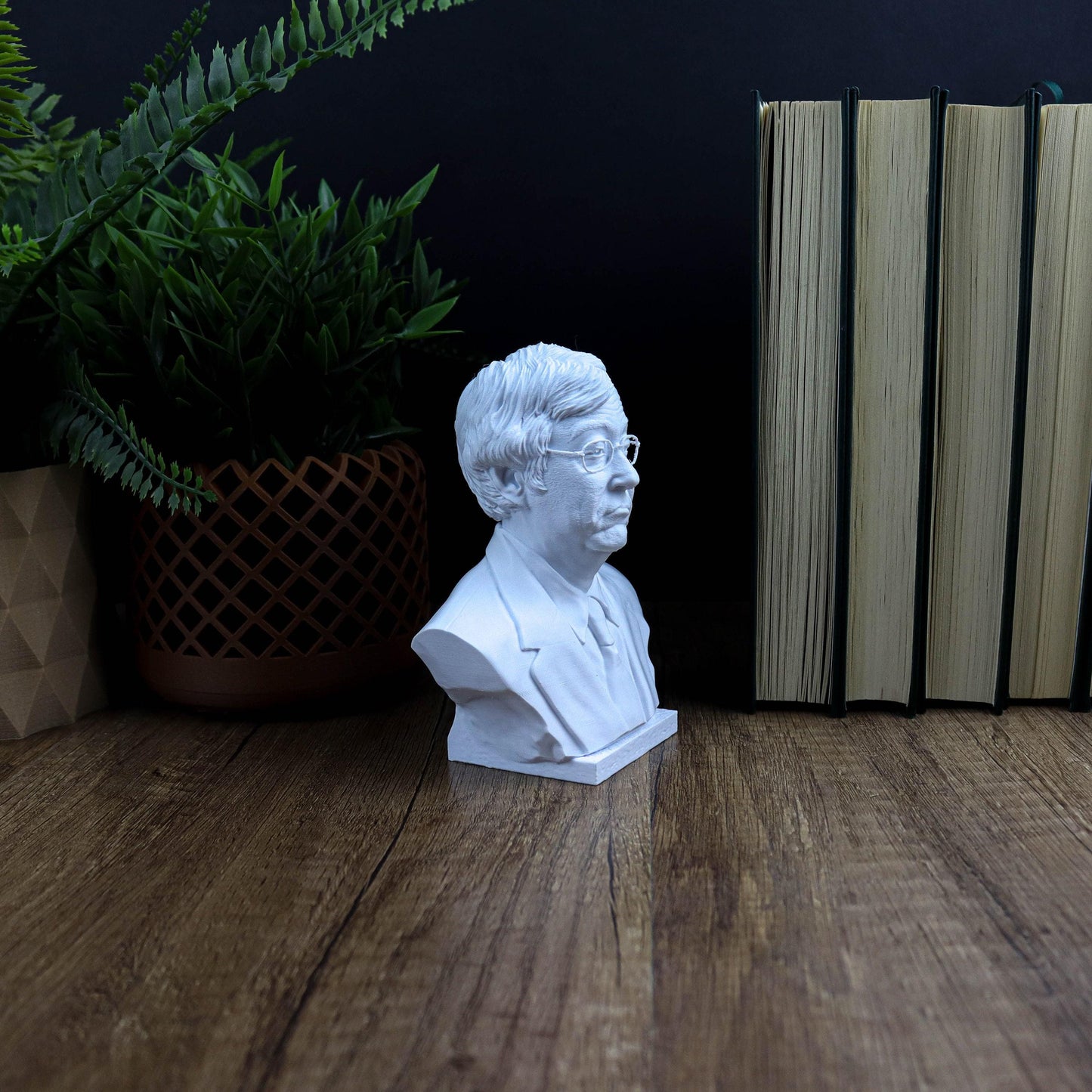 Satoshi Nakamoto 3d printed Bust