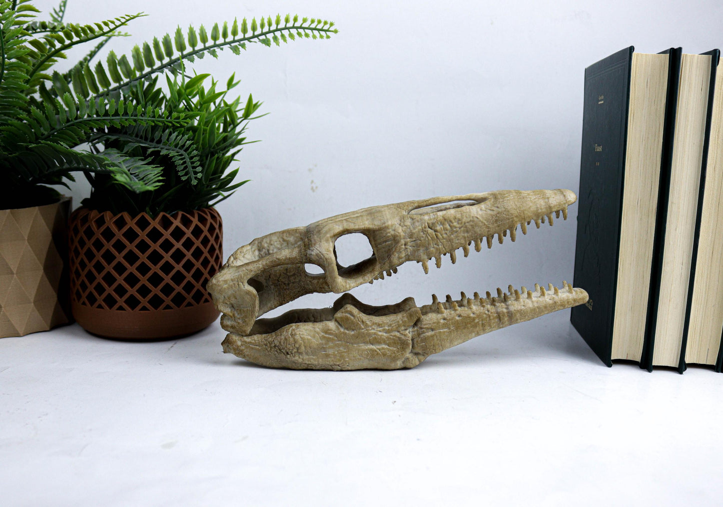 Mosasaurus Skull, Aged Reptile Skull Replica, Prehistoric Dinosaur Fossil Decor, Jurassic Collectible Gift