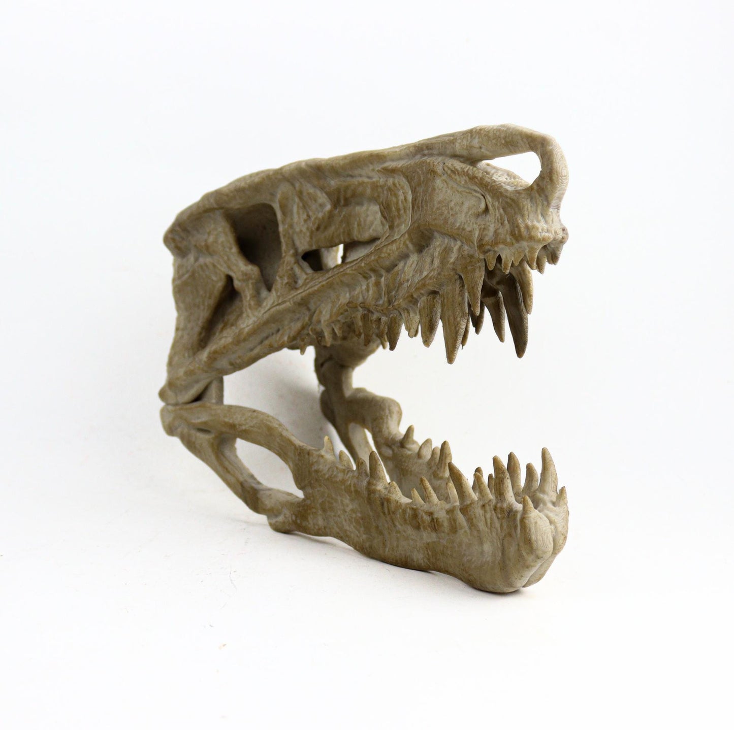 Postosuchus Kkull, Aged Reptile Skull Replica, Prehistoric Dinosaur Fossil Decor, Jurassic Collectible Gift