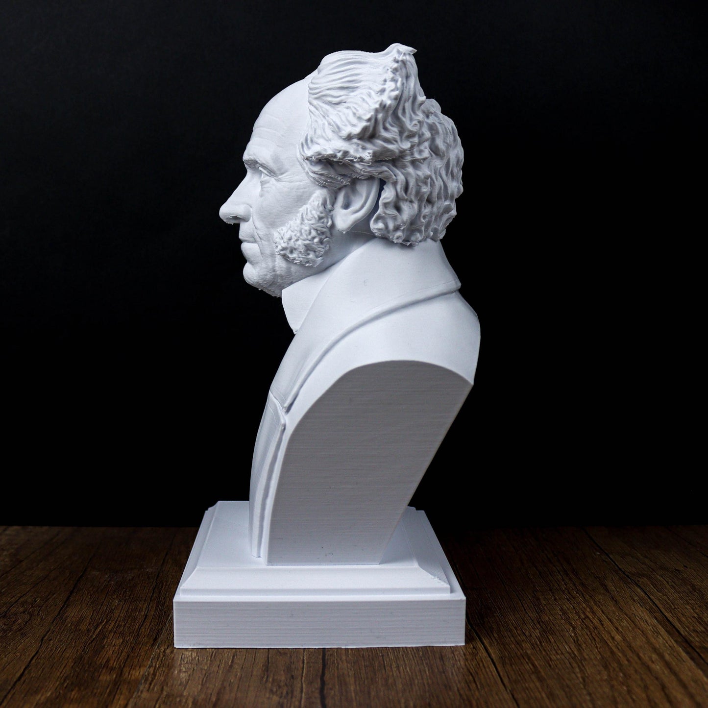 Arthur Schopenhauer Bust, German philosopher Statue, Sculpture Decoration ,Decor