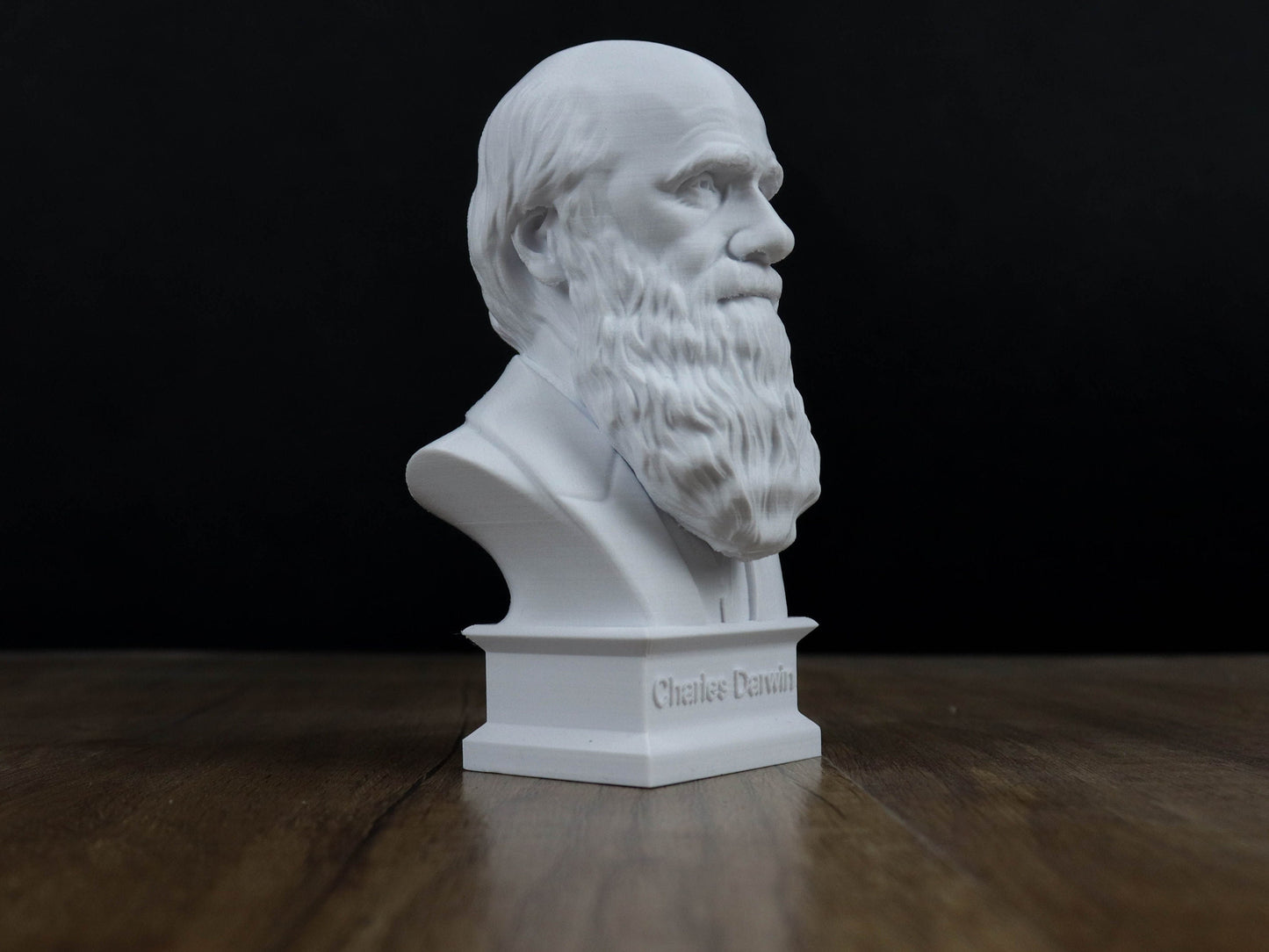 Charles Darwin Bust Sculpture
