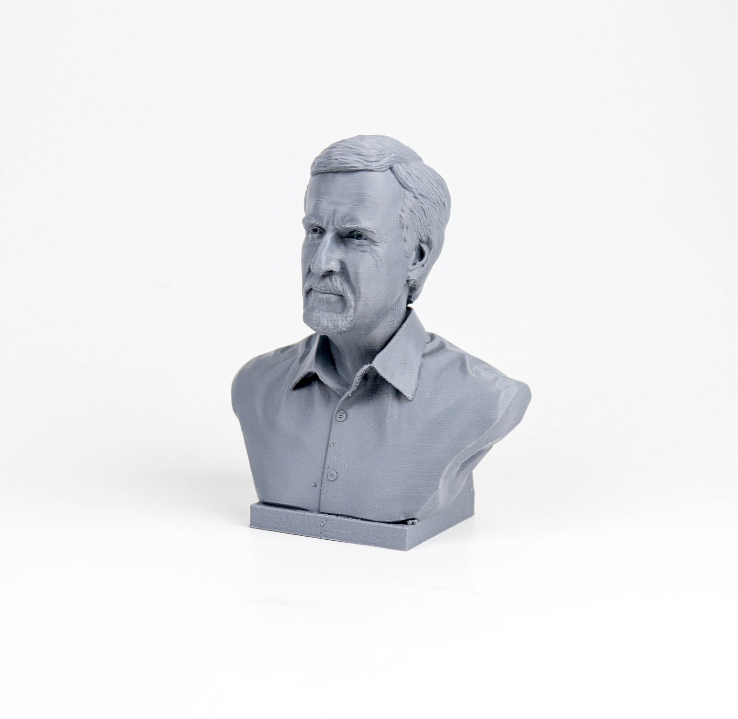 A gray bust of a man's head, possibly a portrait, is shown against a white background.