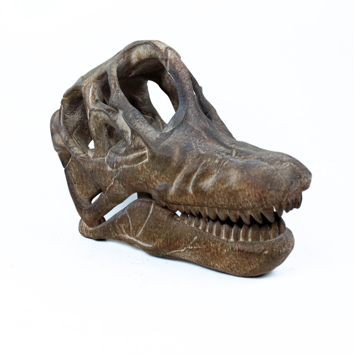 Brachiosaurus Painted Skull Replica, Prehistoric Dinosaur Fossil Model, Unique Dinosaur Lover Gift