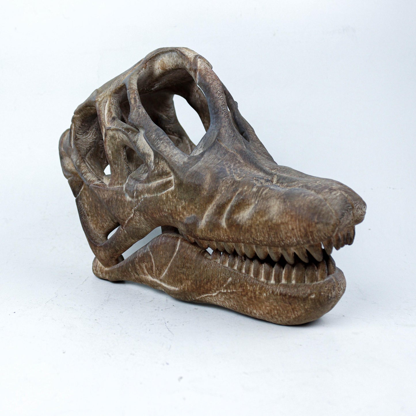 Brachiosaurus Painted Skull Replica, Prehistoric Dinosaur Fossil Model, Unique Dinosaur Lover Gift