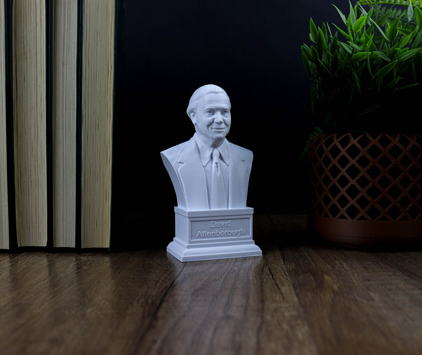 Sir David Attenborough Bust, British Broadcaster, Biologist and Author Statue