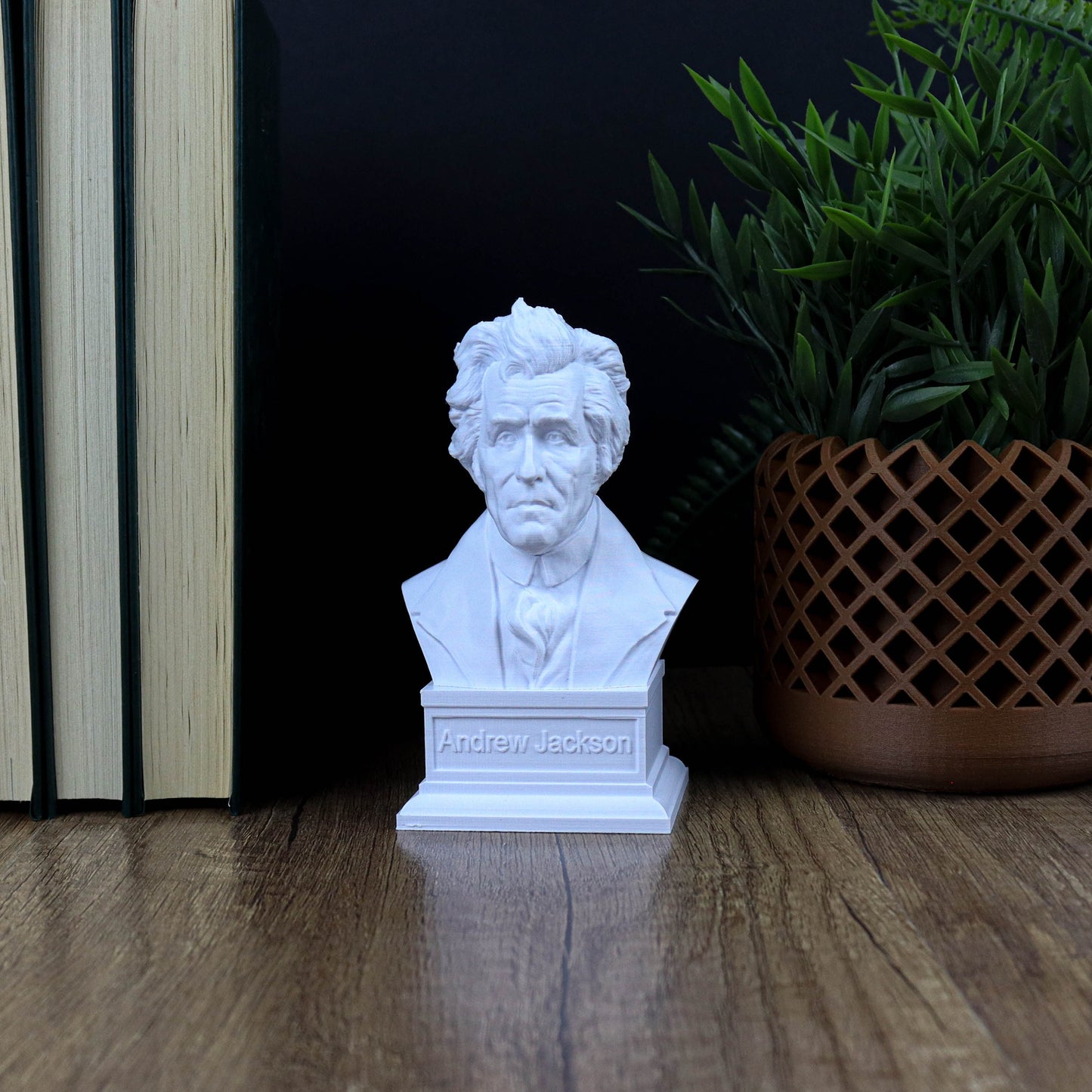 Andrew Jackson Bust, 7th U.S. President, American History Art Decor
