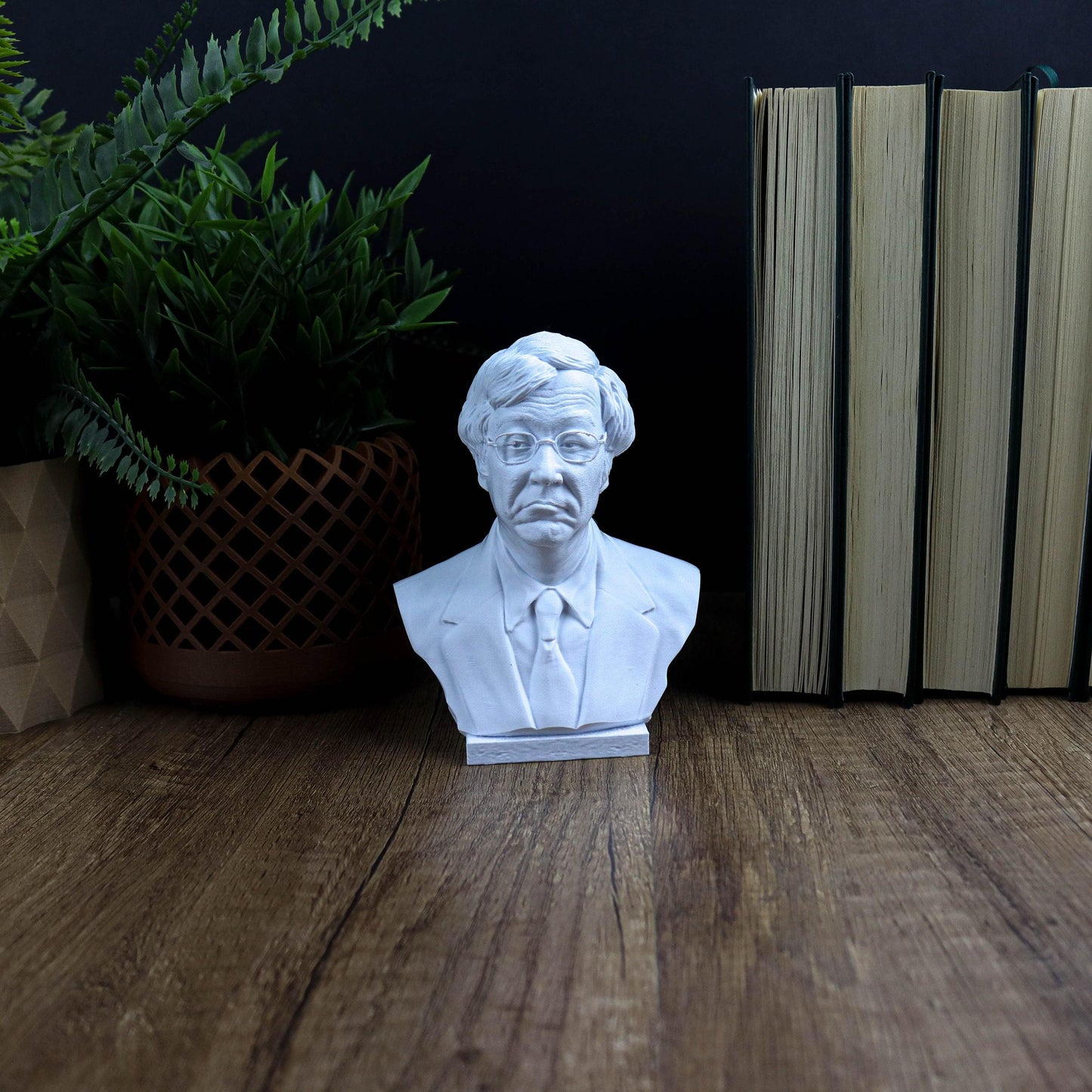 Satoshi Nakamoto 3d printed Bust