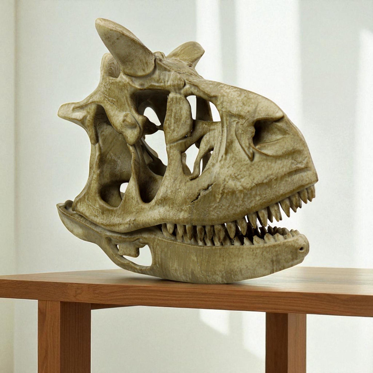 Aged Carnotaurus Skull Replica: Dinosaur Fossil Decor