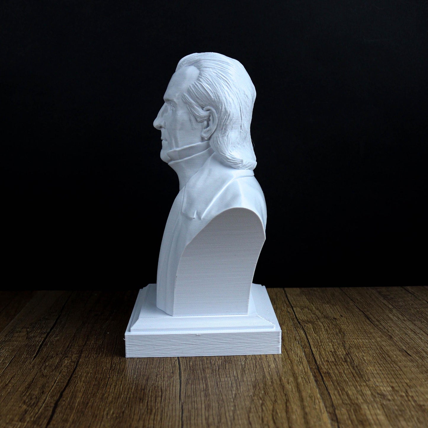 James K. Polk Bust, 11th President of the United States, American history decor