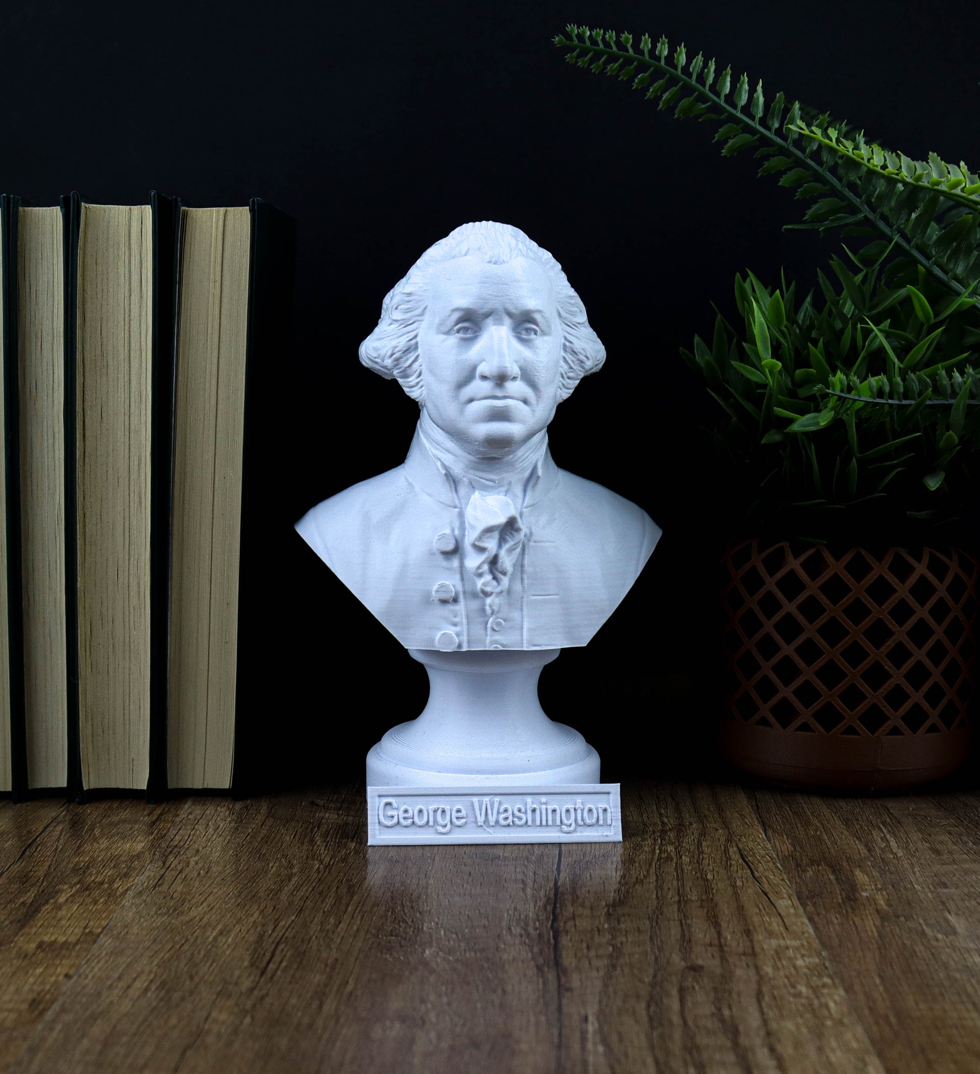 A white bust of George Washington, the first President of the United States, is displayed on a wooden surface next to a stack of books and a potted plant.
