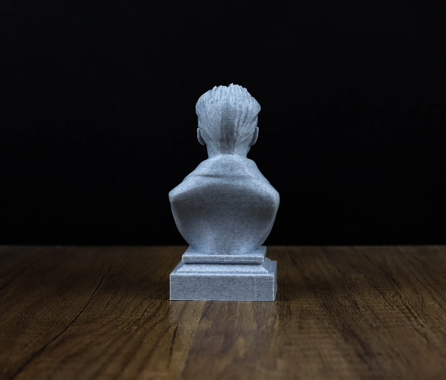 Erwin Schrodinger 3D Sculpture Bust