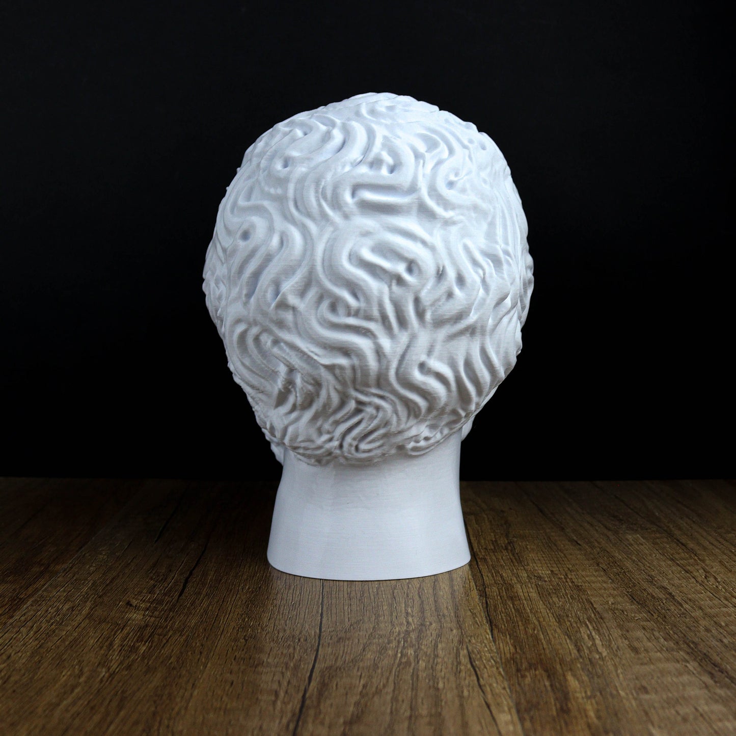 Marcus Aurelius Headphone Holder, Head Statue, Desktop Decor Headphone Stand, Bust