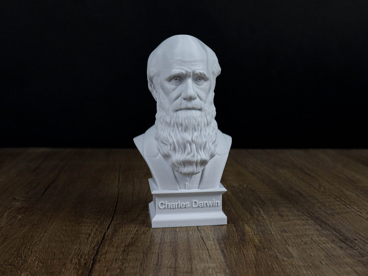 Charles Darwin Bust Sculpture