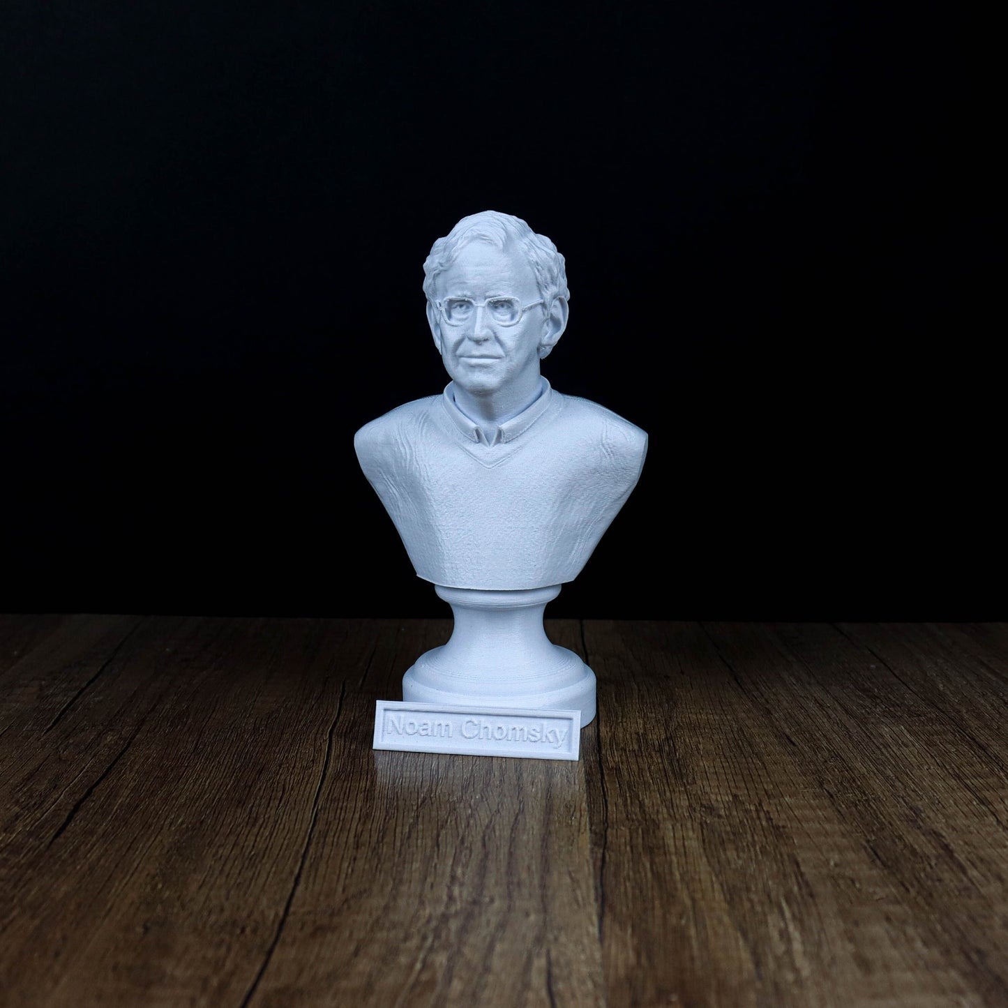 Noam Chomsky Bust, Linguistics Genius Statue, Gift for Intellectuals