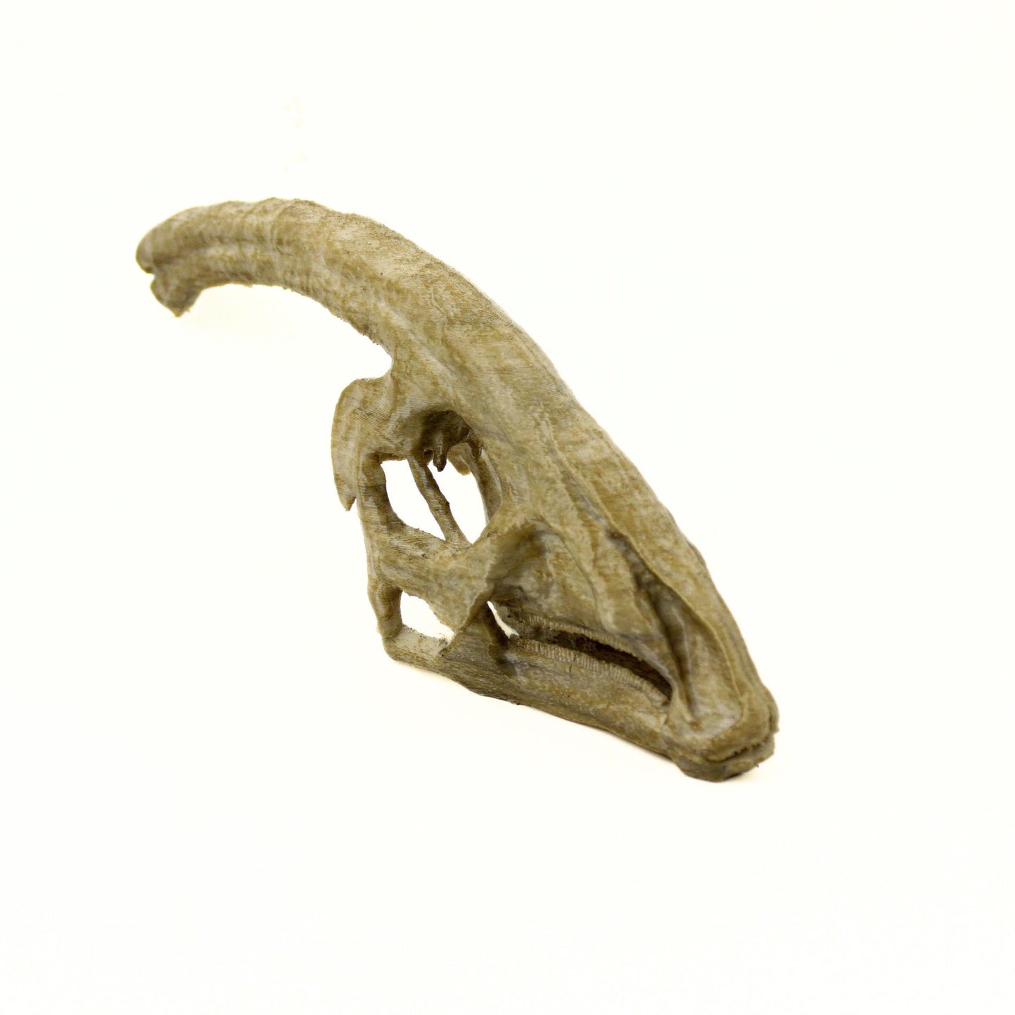 Parasaurolophus Ages Skull, Prehistoric Dinosaur Sculpture, Gift for Paleontology Enthusiasts