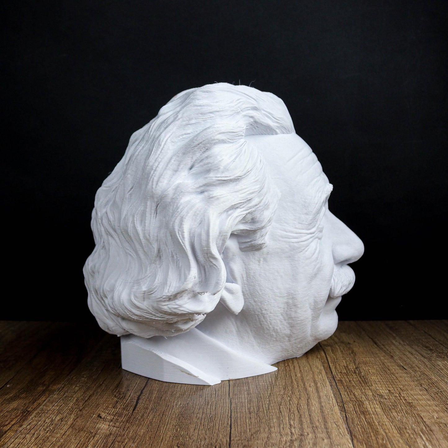 Albert Einstein Head Bust