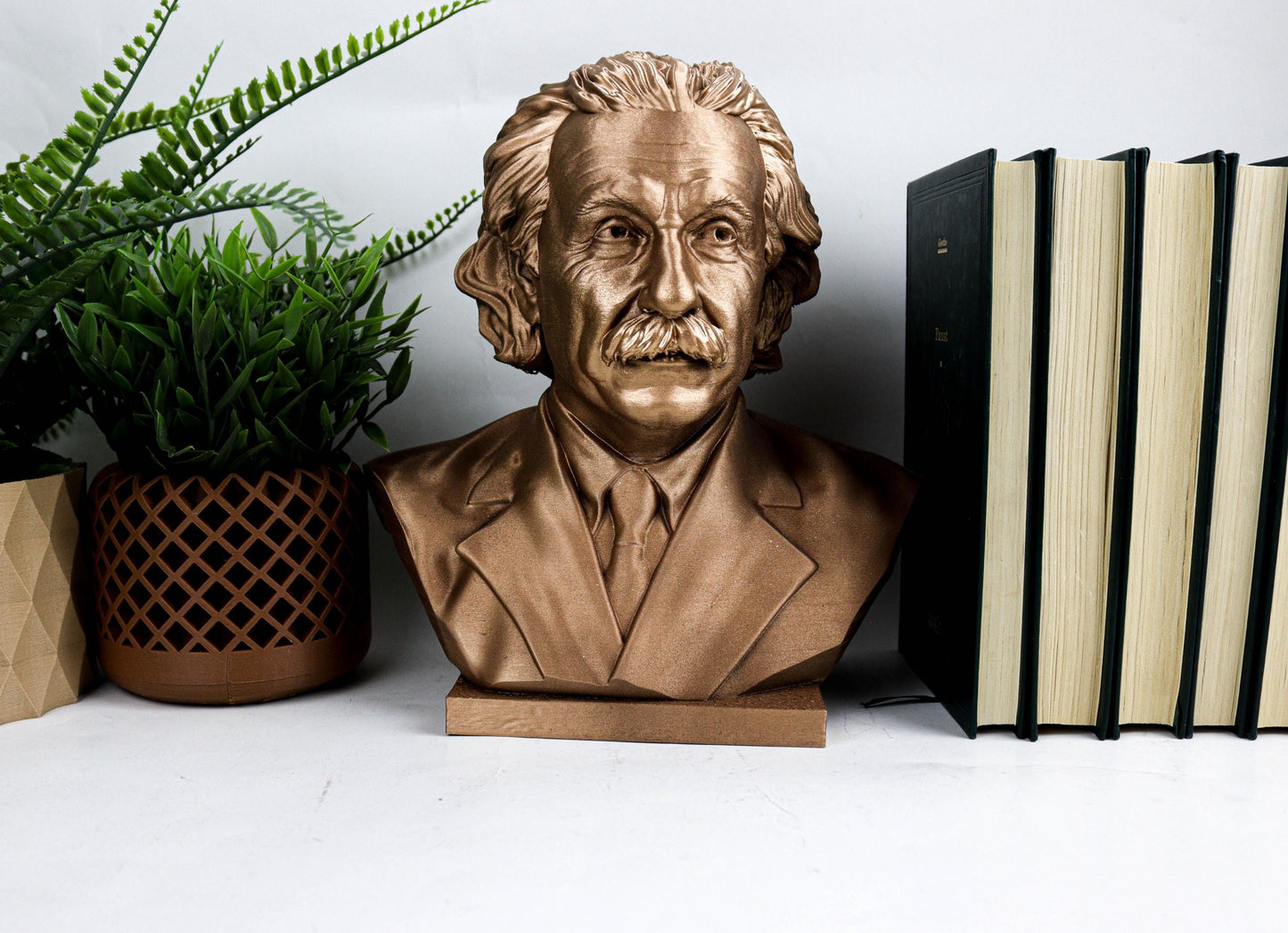 Albert Einstein 10"/25cm Bronze Painted Bust, German Physicist and Mathematician Desktop Statue