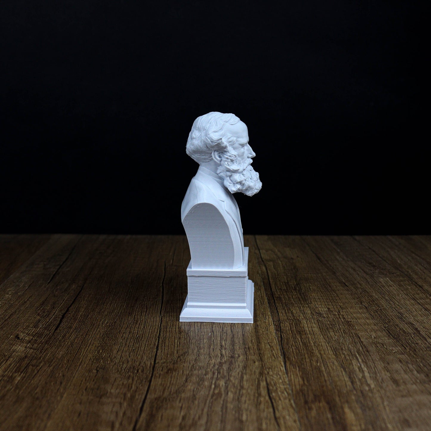 James Clerk Maxwell Bust, Physics Home Decor Gift Idea