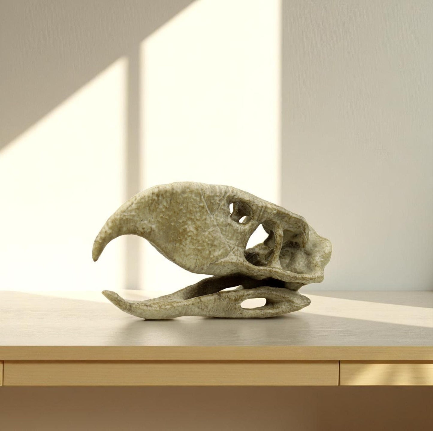 Phorusrhacos Skull Replica, Prehistoric Terror Bird Fossil Decor