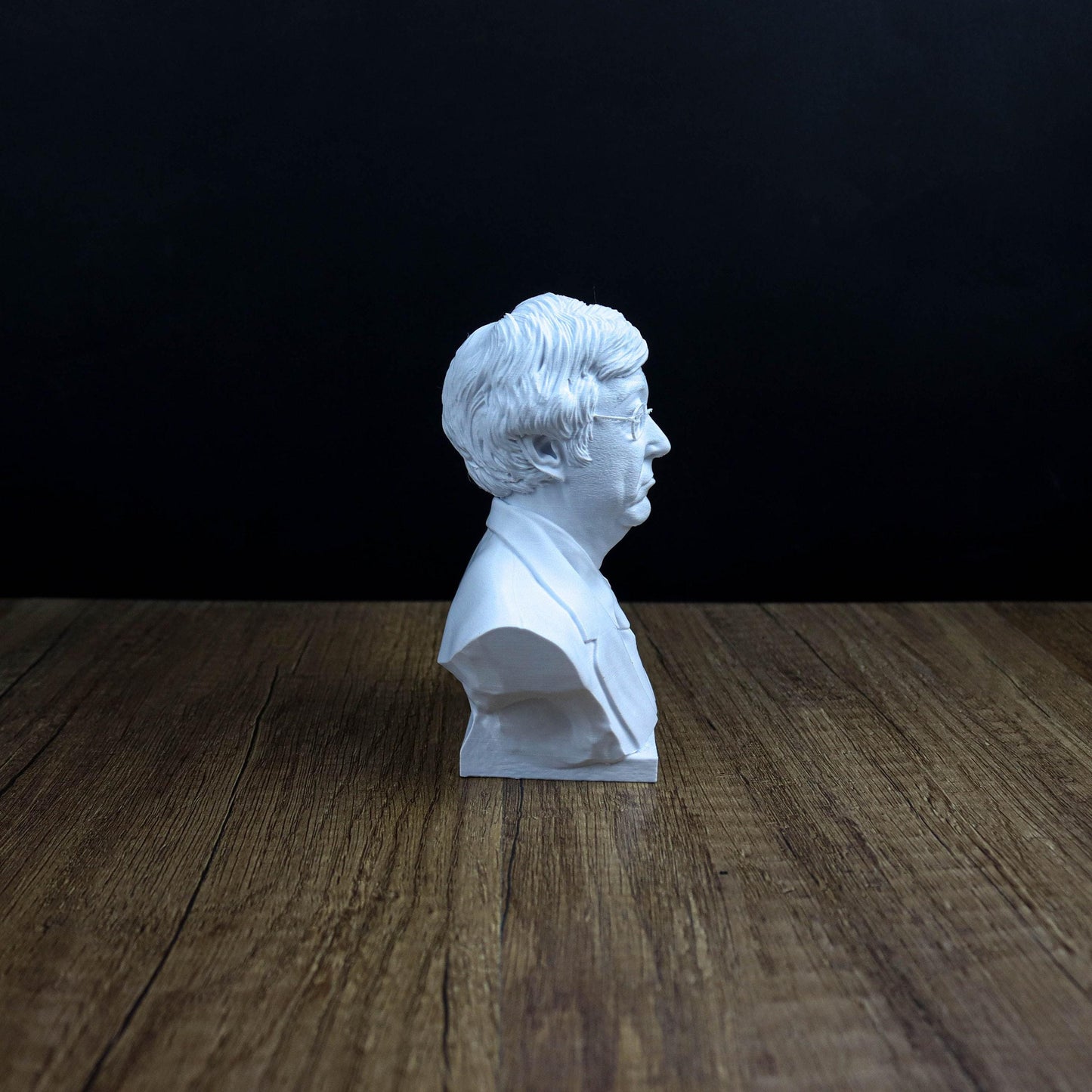 Satoshi Nakamoto 3d printed Bust