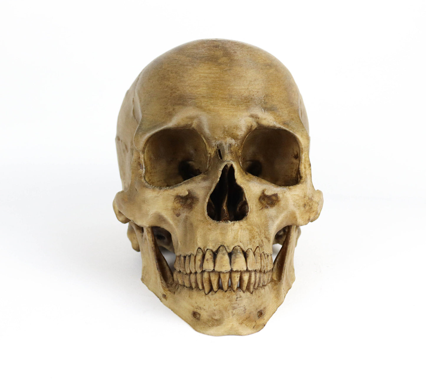 Aged Human Skull Headphone Holder, Skull Horror Decor Headphone stand