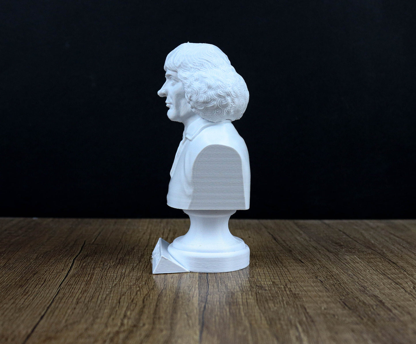 Nicolaus Copernicus Bust, Renaissance Polymath Statue, Sculpture Decoration ,Astronomy lover gift, Home Decor