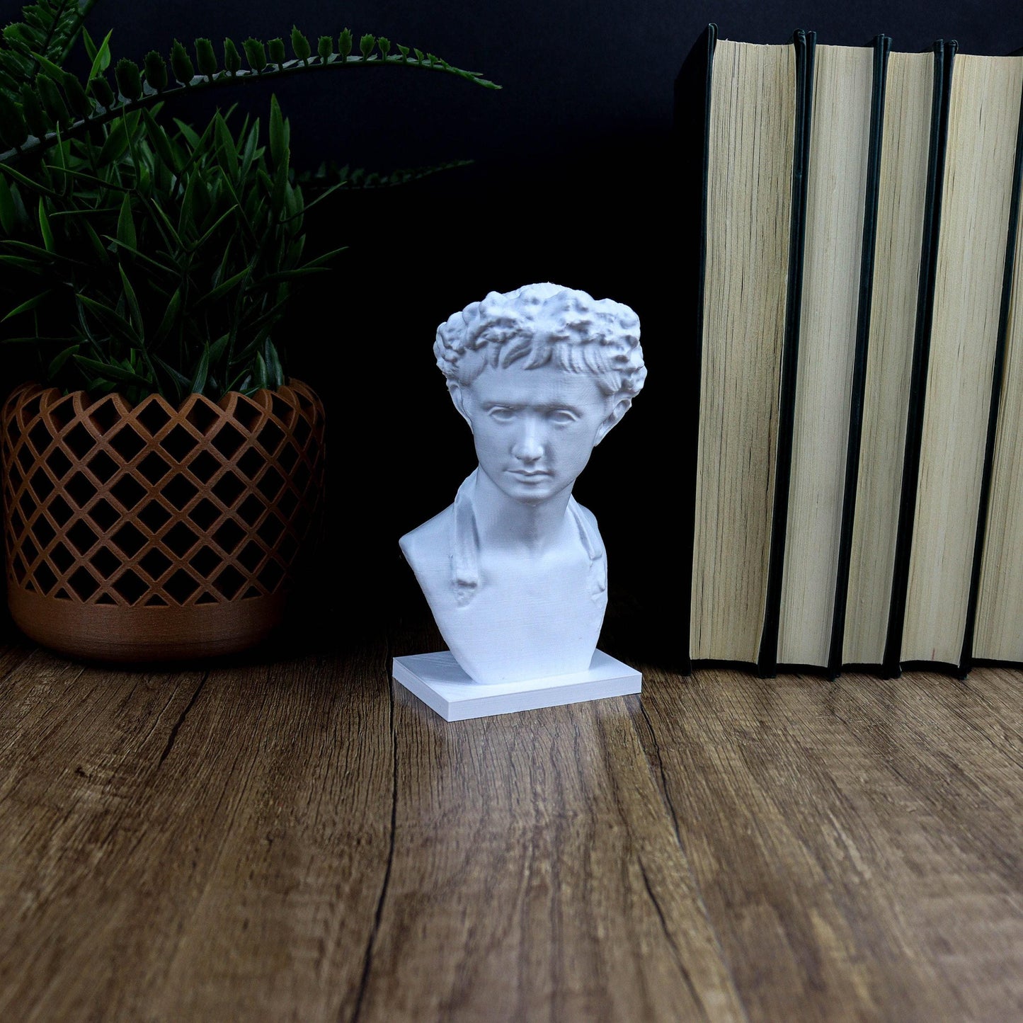 Augustus 3D Printed Bust, Roman Emperor Home Decor