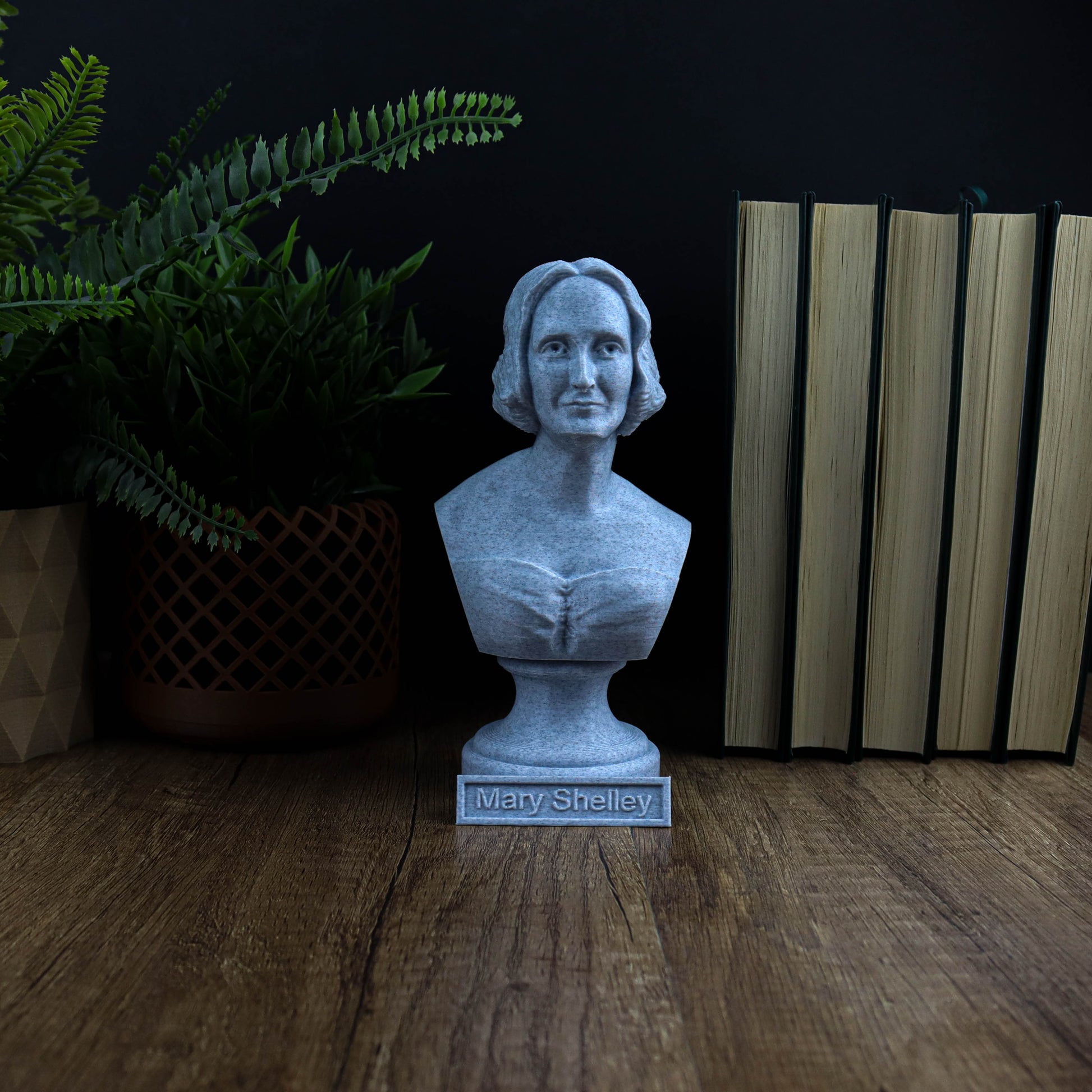A bust of a woman is displayed on a wooden surface, surrounded by a potted plant, books, and a plant pot.