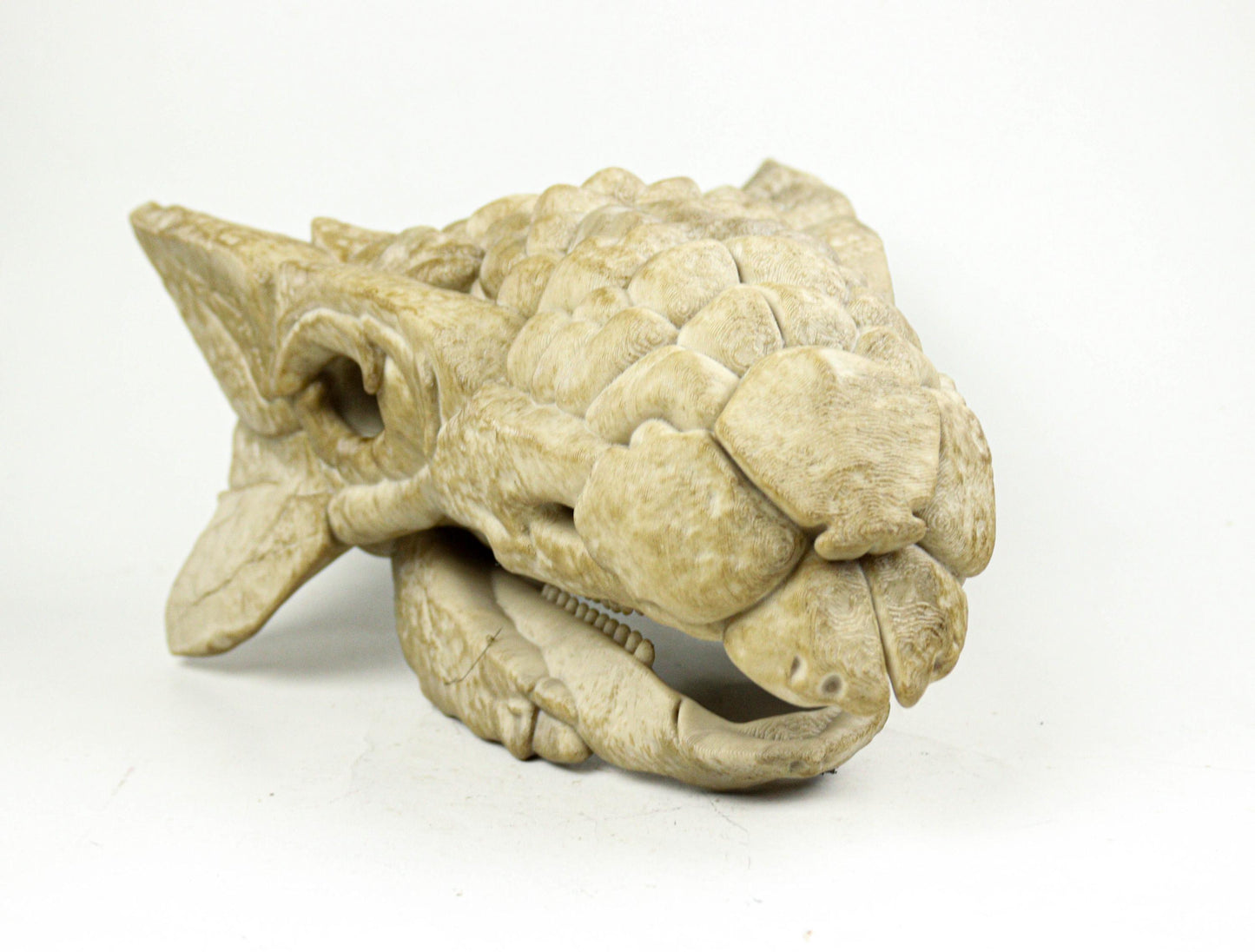Ankylosaurus skull, Dinosaur Fossil Replica, Prehistoric Decor, Gift for Dinosaur Lovers