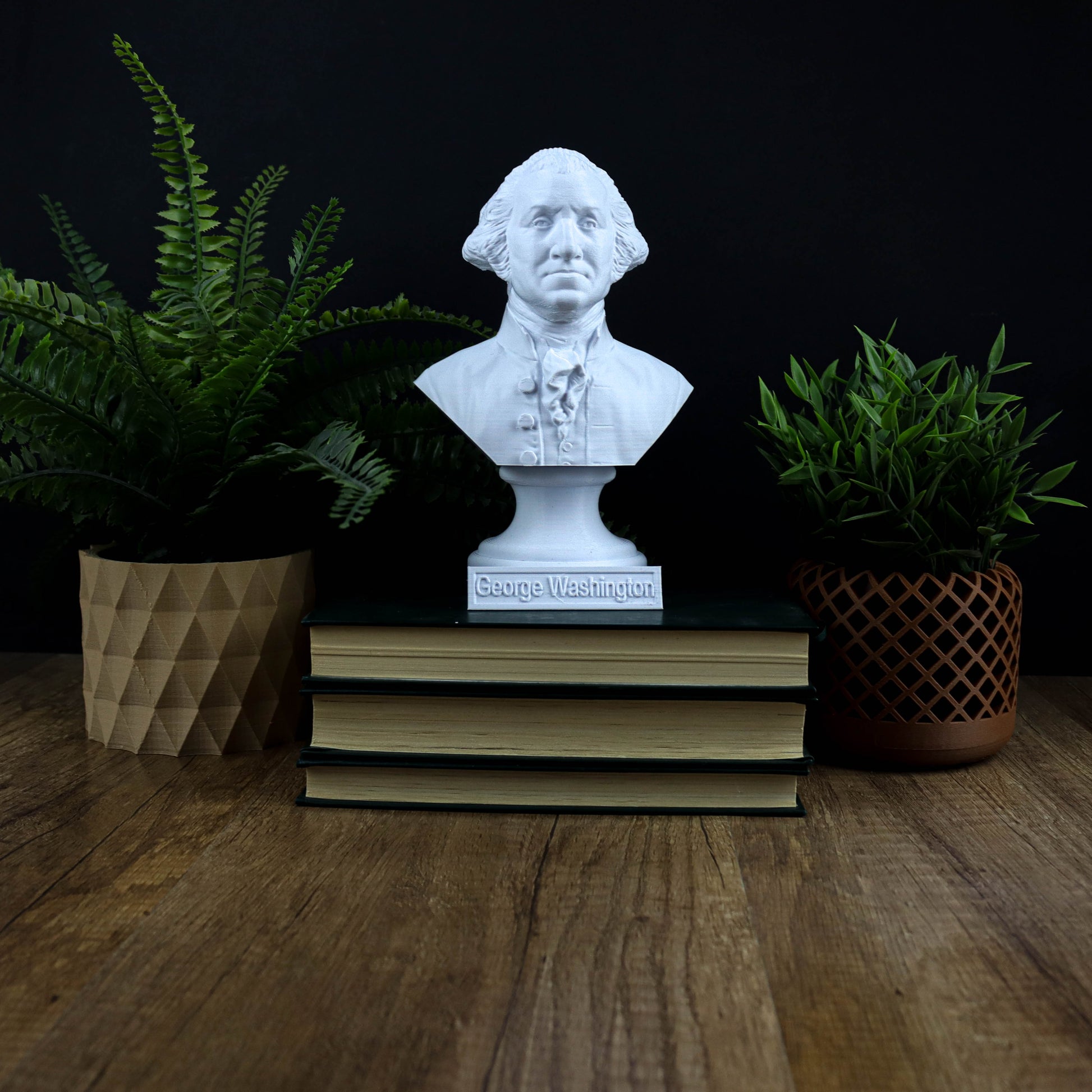 A bust of George Washington is displayed on a wooden surface, surrounded by books and potted plants.