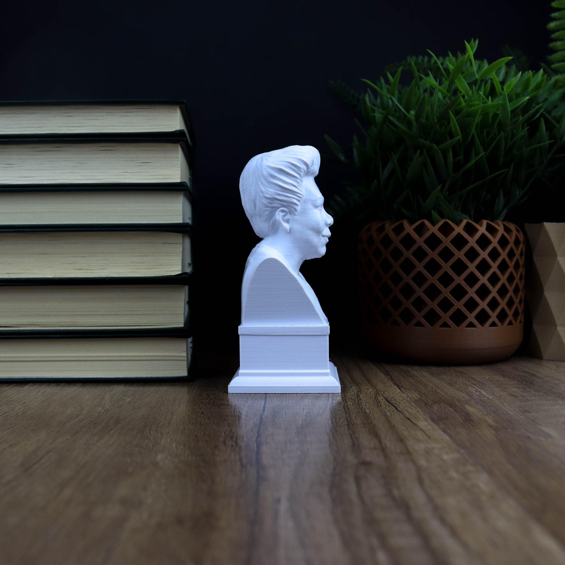 A white bust of a person is displayed on a wooden surface, surrounded by a stack of books and a potted plant.
