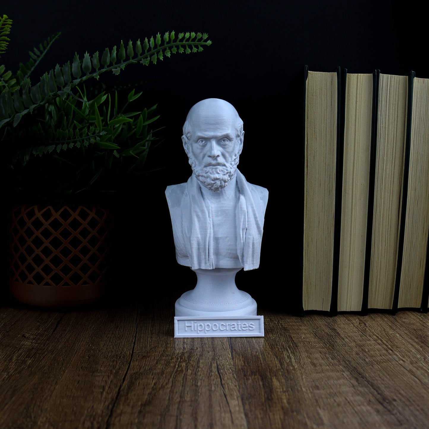 Hippocrates Bust Sculpture, Greek Physician Statue