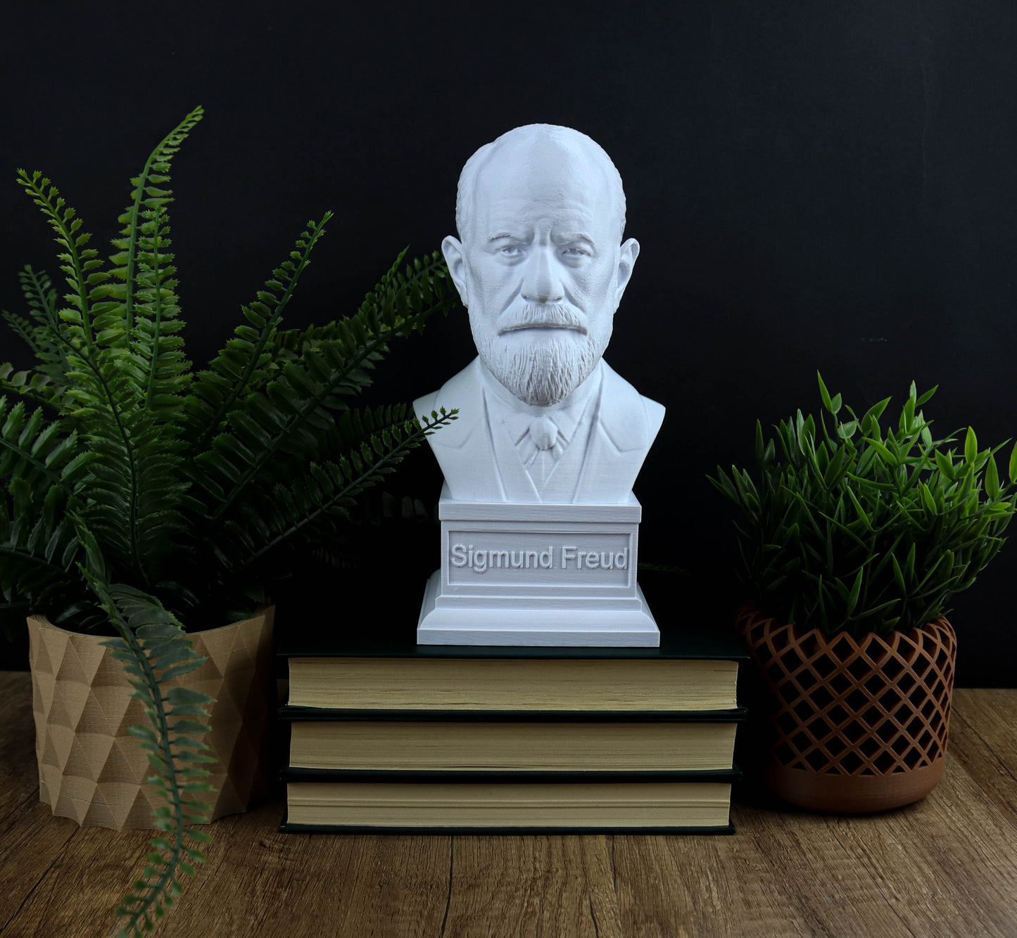 A bust of Sigmund Freud is displayed on a wooden surface, surrounded by potted plants and a stack of books.