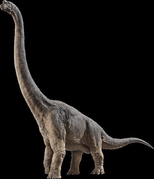 Brachiosaurus Painted Skull Replica, Prehistoric Dinosaur Fossil Model, Unique Dinosaur Lover Gift