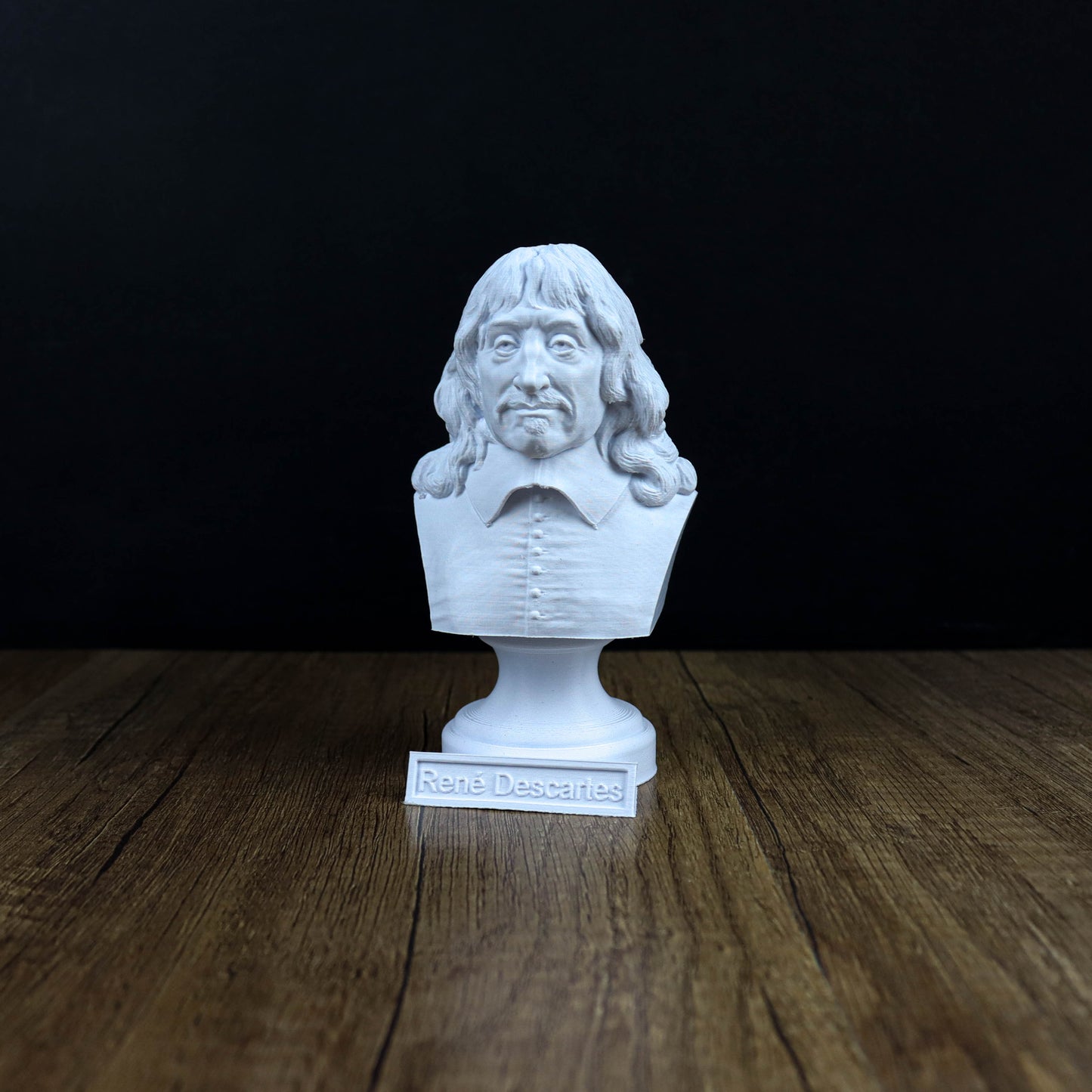 A white bust of a man with long hair and a serious expression is displayed on a wooden surface, accompanied by a small plaque that reads "Rene Descartes".