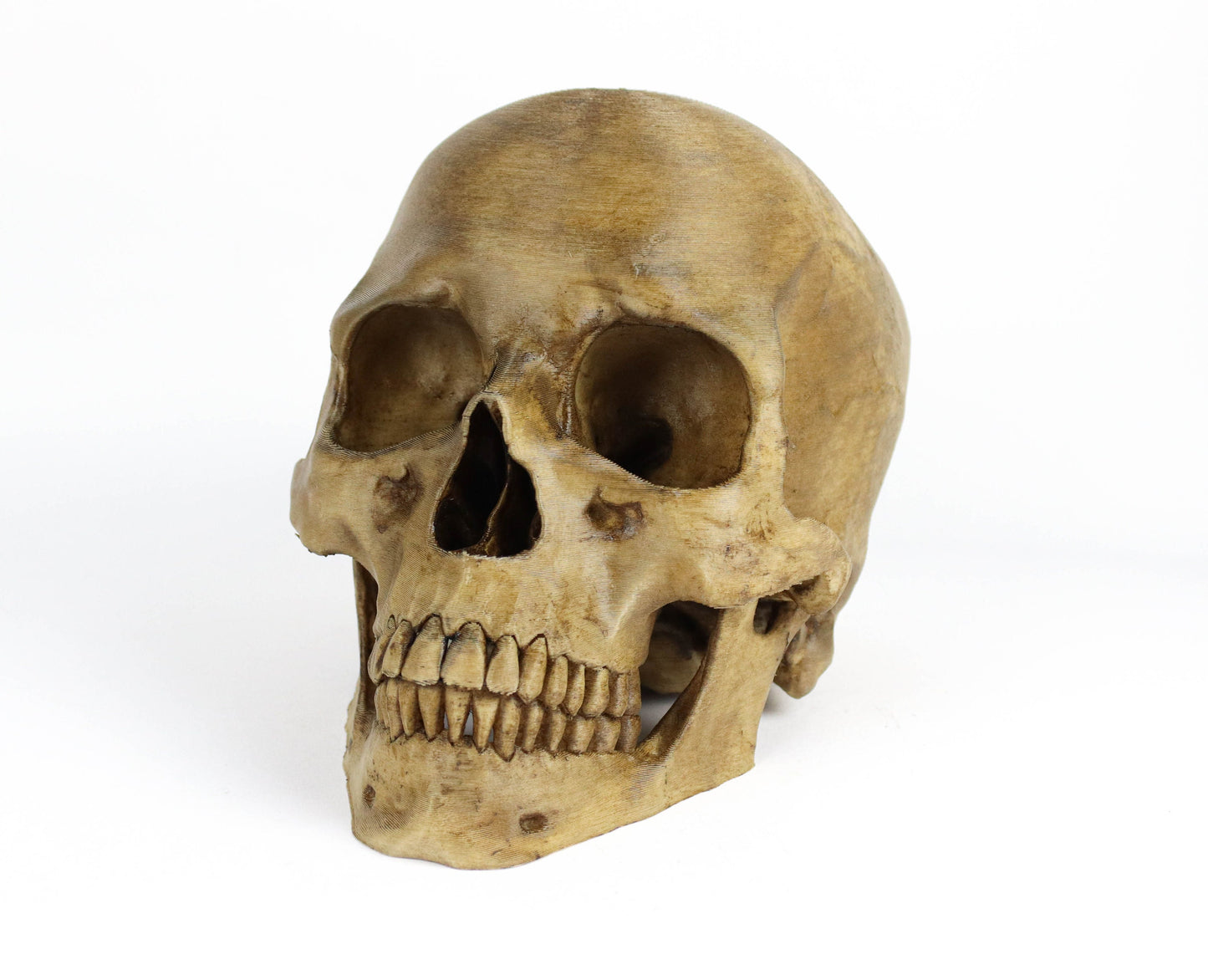 Aged Human Skull Headphone Holder, Skull Horror Decor Headphone stand